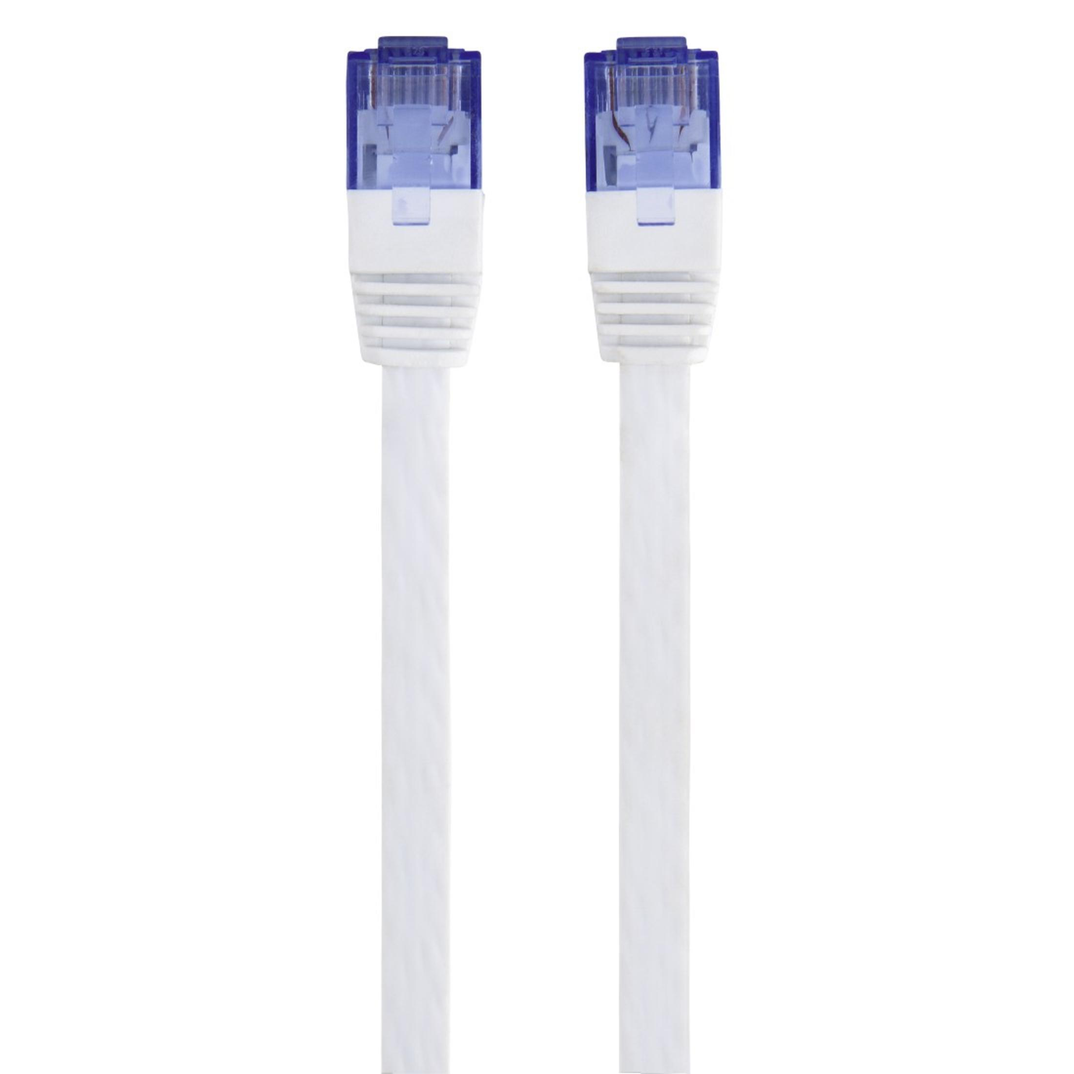 Due cavi di rete bianchi con connettori blu, isolati su bianco.