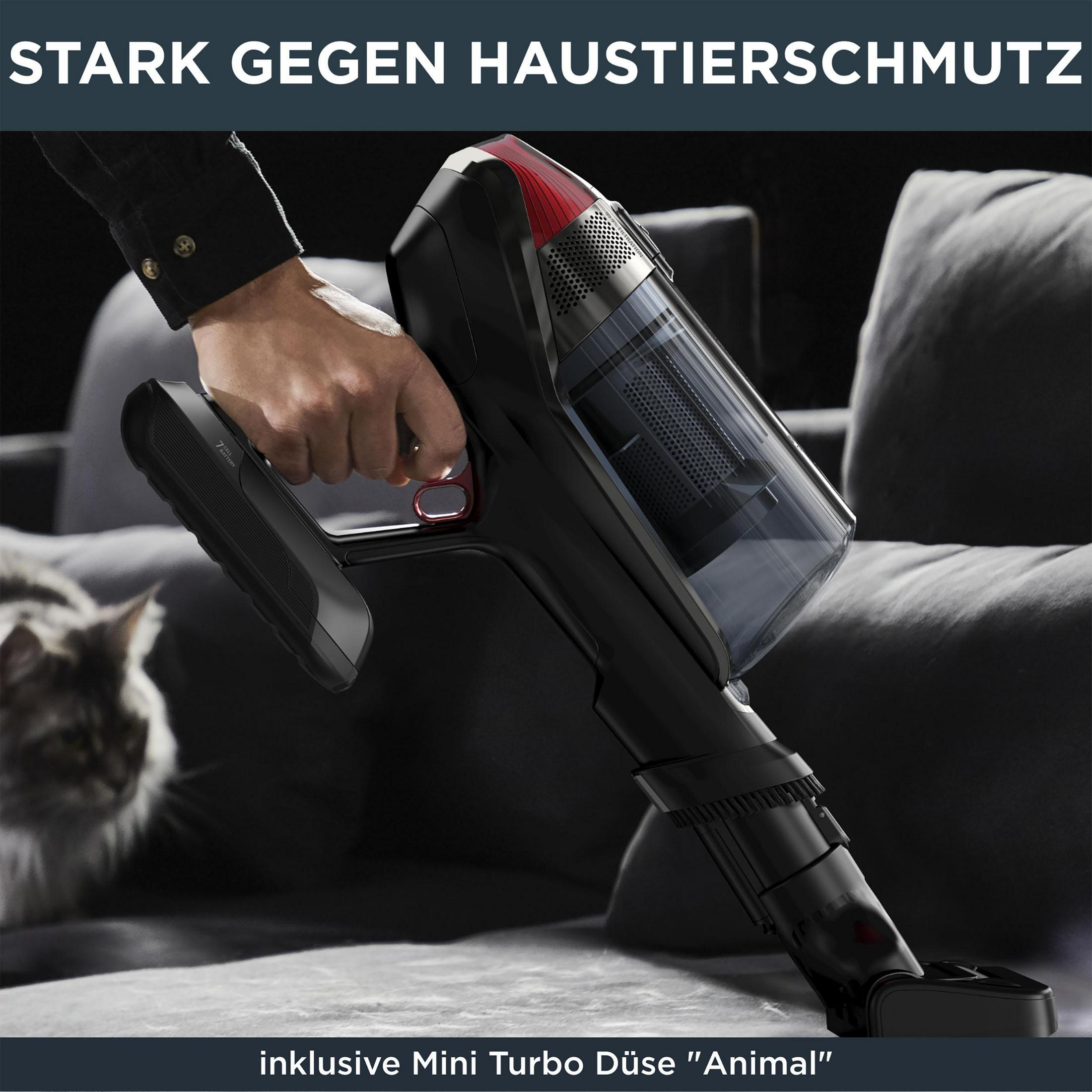 Eine Person benutzt einen Staubsauger; eine Katze ist auf dem Sofa.