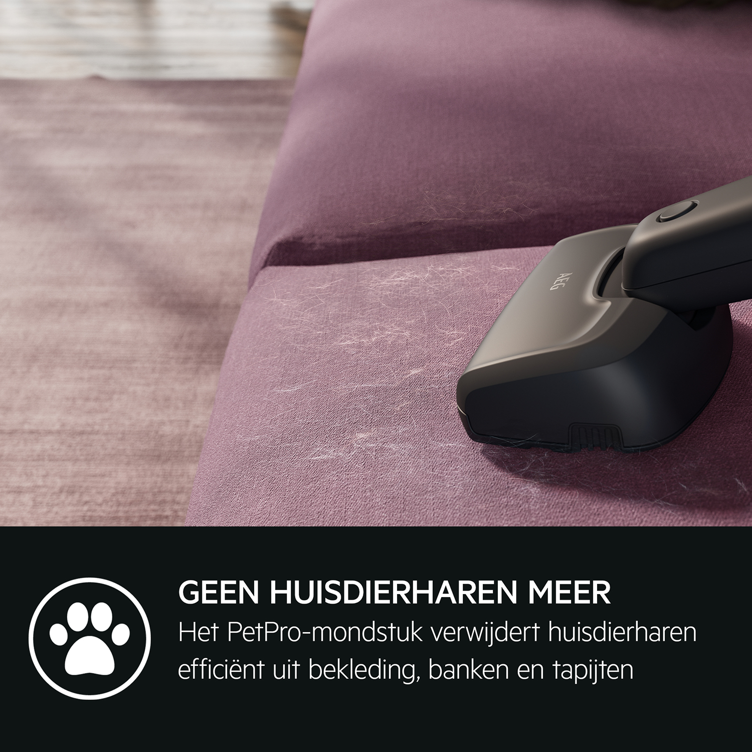 Ein AEG-Staubsauger reinigt ein rosa Sofa. Der Text lautet 'KEINE TIERHAARE'. Weißes Pfotenabdruck-Symbol ist vorhanden.