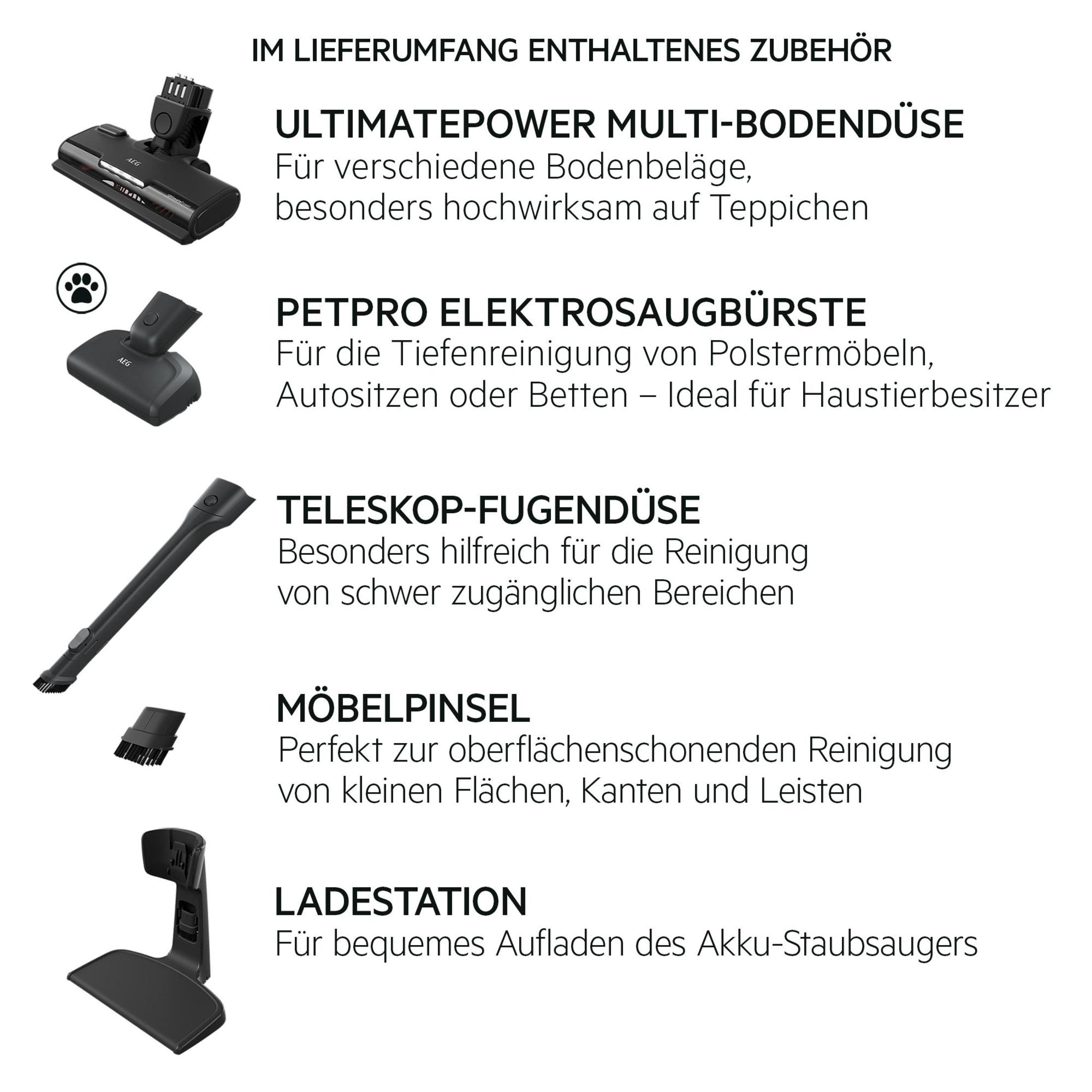 Staubsaugerzubehör: Bürsten für verschiedene Oberflächen, Tierhaare, Ritzen, Möbel und eine Ladestation.