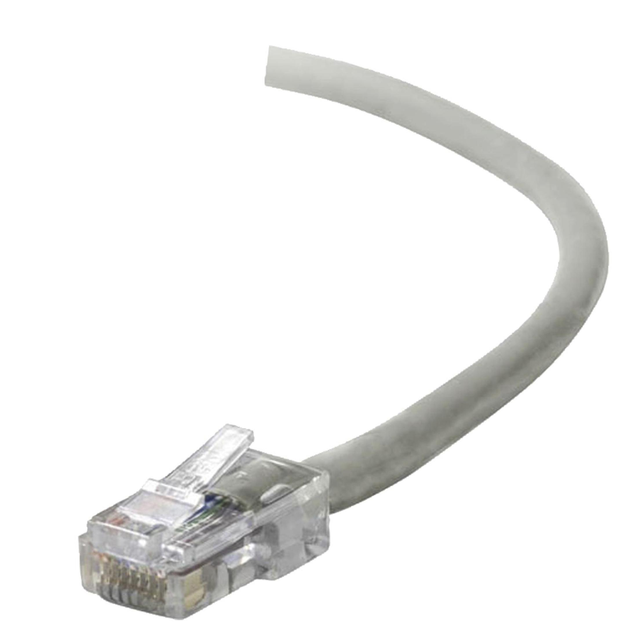 Kabel Ethernet z pojedynczym, przezroczystym złączem jest pokazany na białym tle.