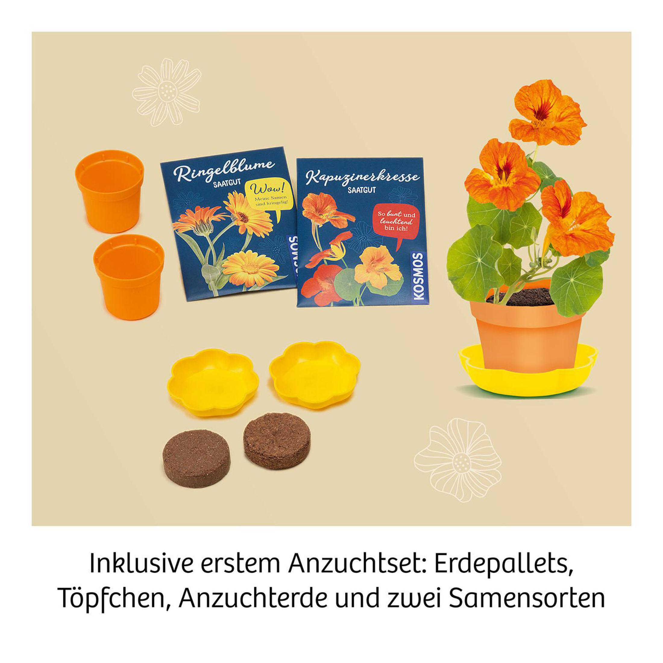 Ein Garten-Set mit Töpfen, Samen, Erde und Blumen in natürlicher Umgebung.