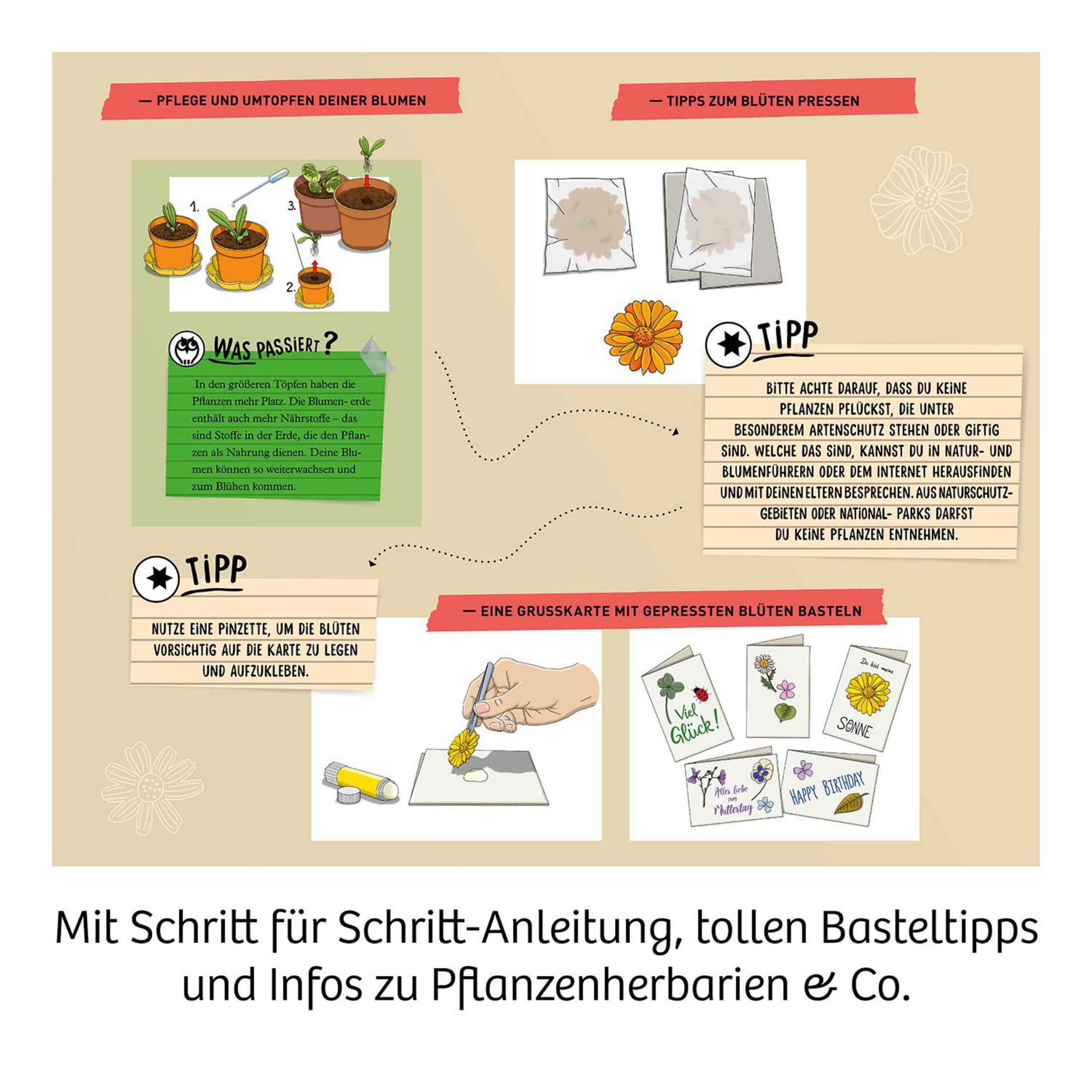 Diagramm mit Anweisungen zur Pflanzenpflege, einschließlich Umpflanzen und Blumen pressen, mit Tipps und Notizen.