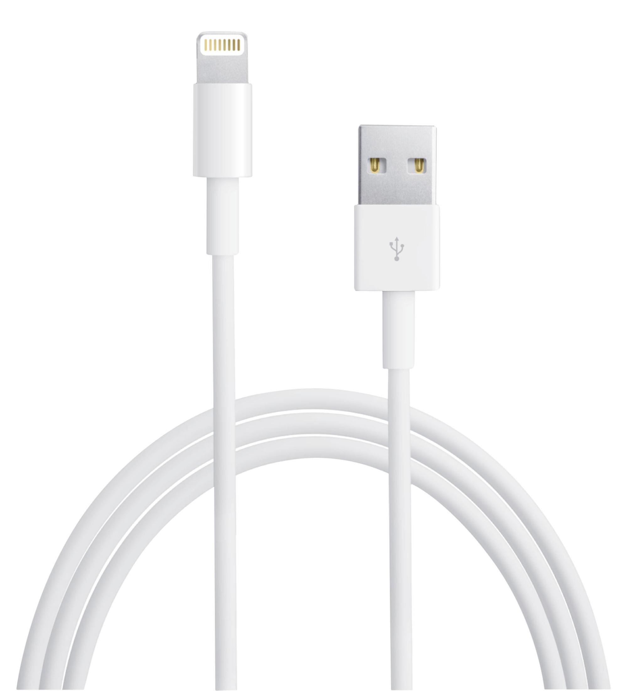 Weißes Lightning-zu-USB-Kabel. Beide Enden sind sichtbar. Weißer Hintergrund.