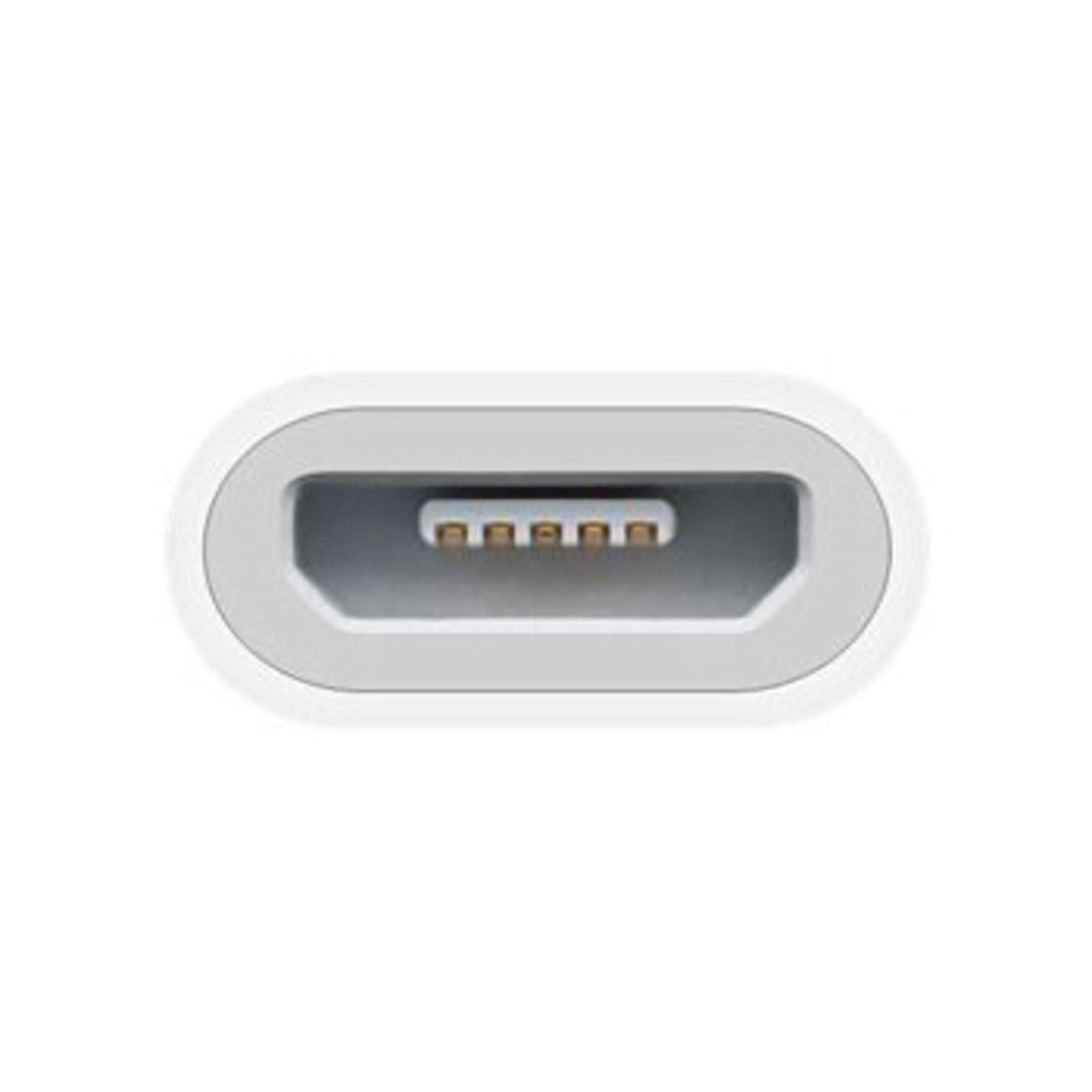 Un primo piano di una porta USB-C bianca e grigia, che mostra i pin interni.