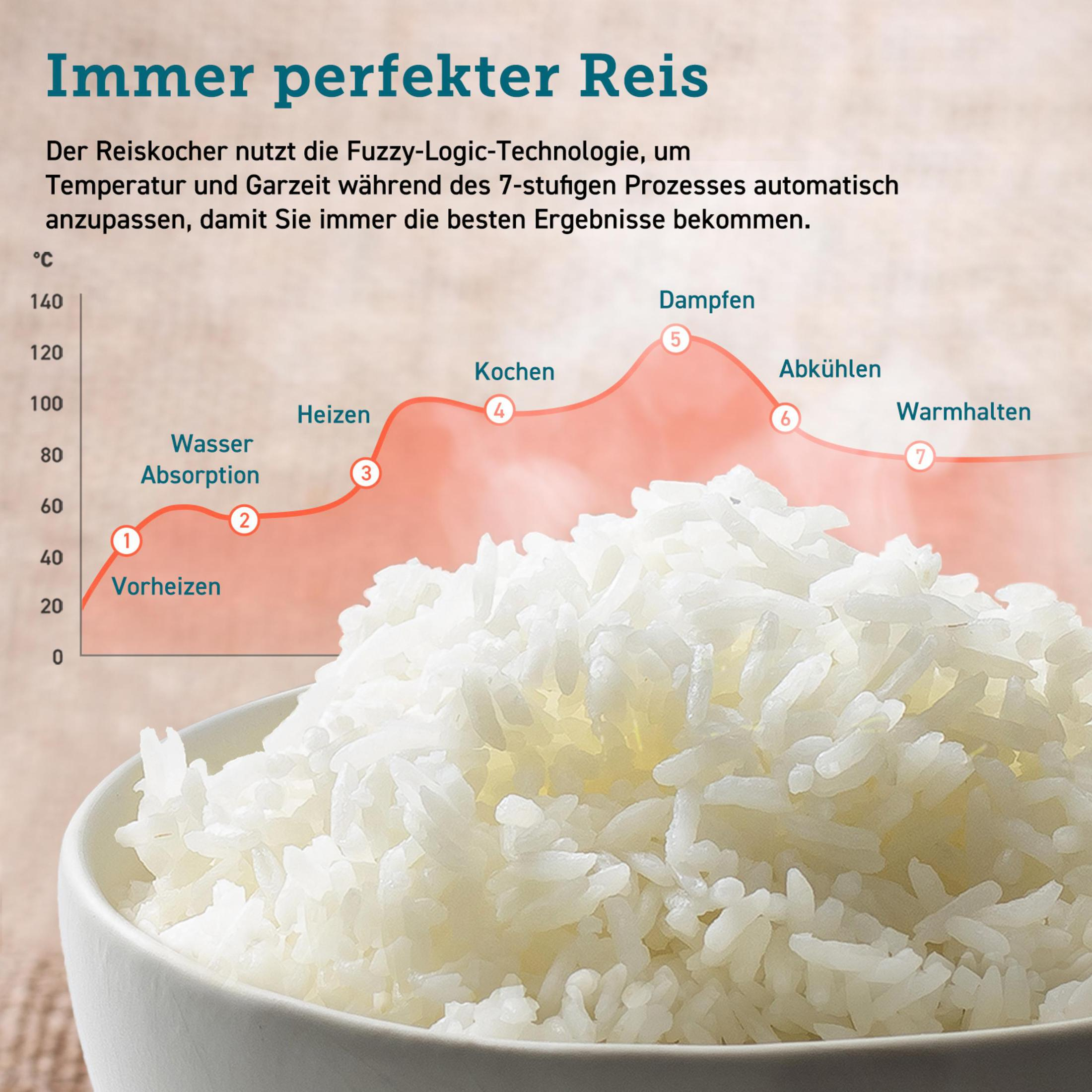 Imagen que muestra las etapas de cocción del arroz con temperaturas y un cuenco de arroz cocido.