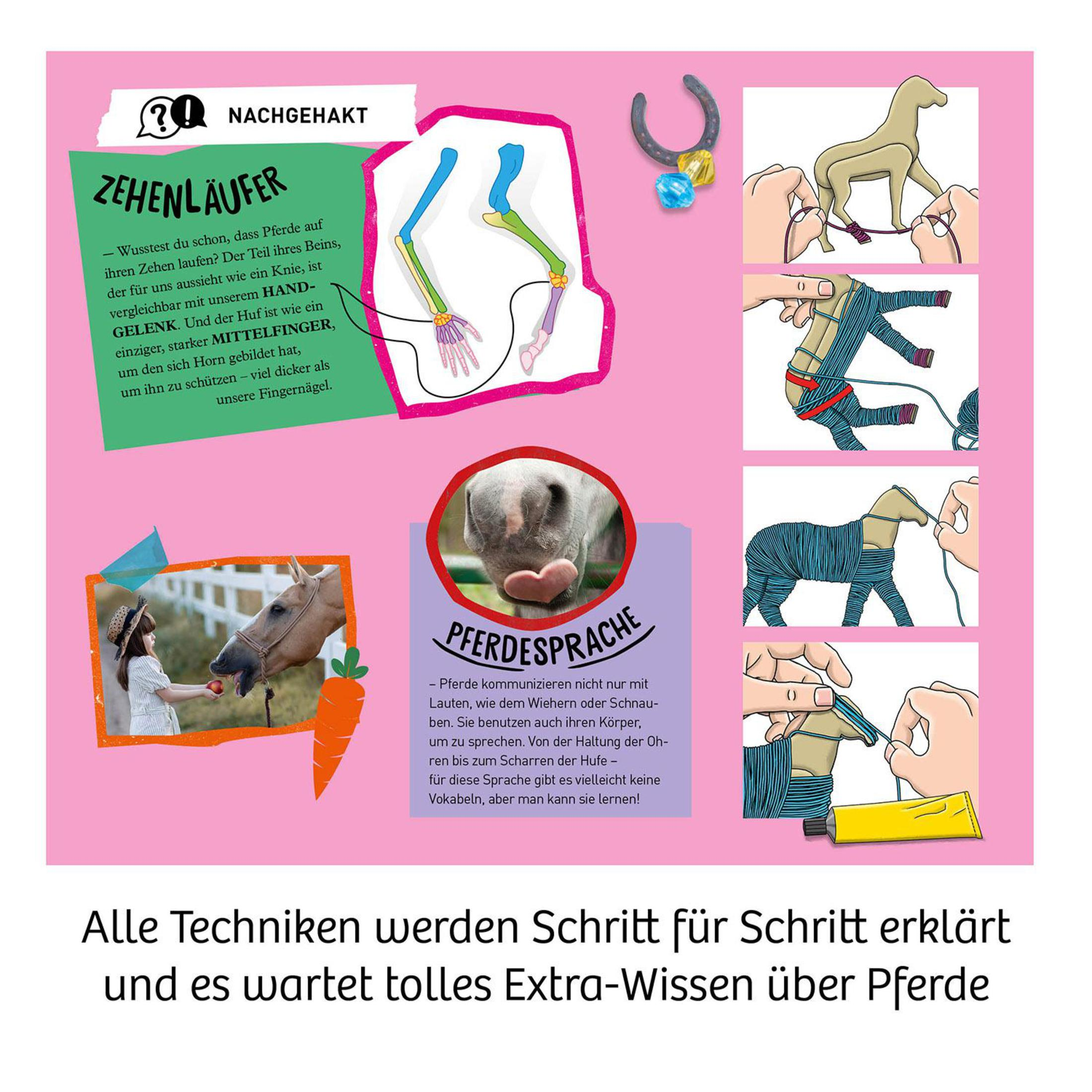 Lehrreiche Magazinseite mit Pferdeanatomie-Diagrammen und -Bildern. Text und Illustrationen.