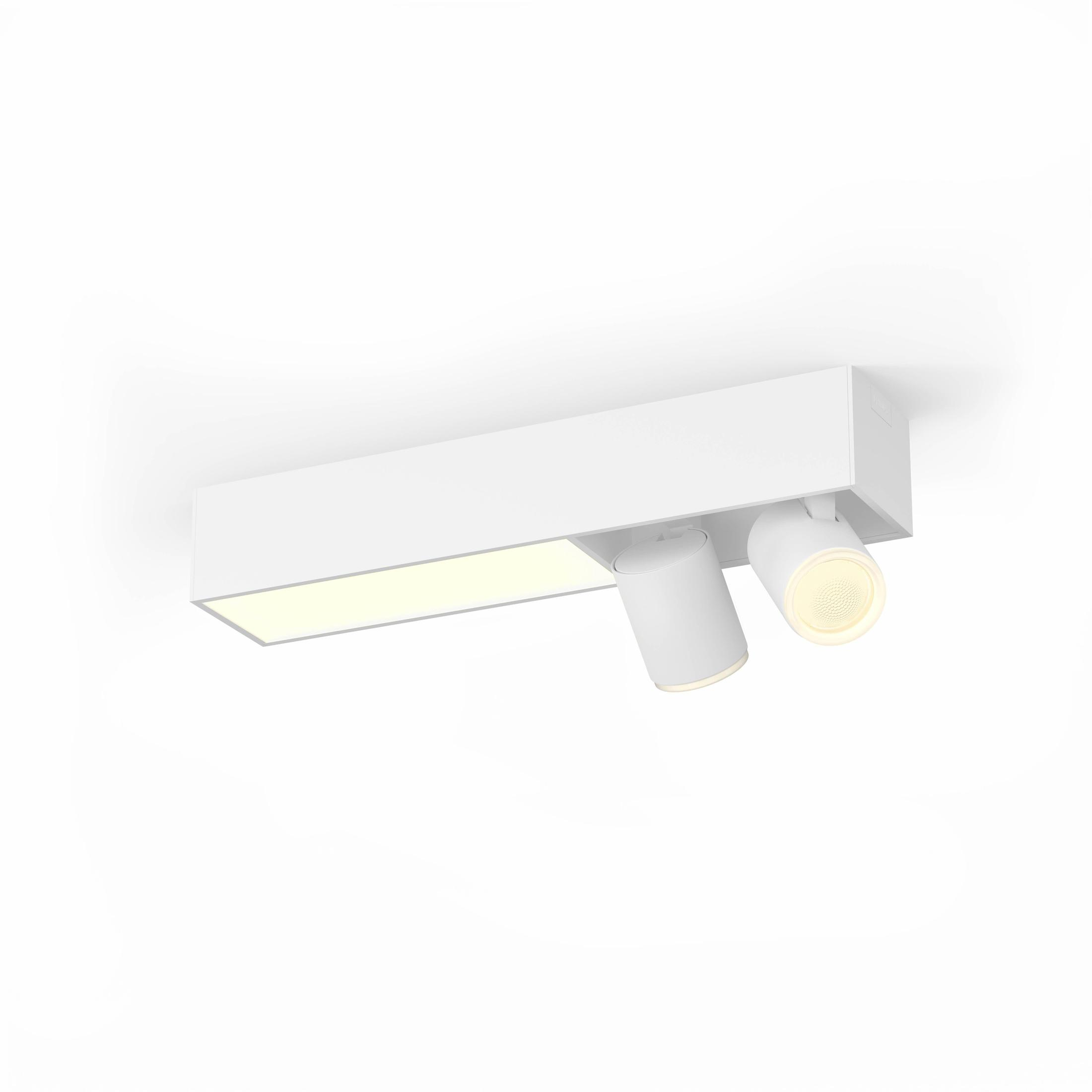 Un luminaire de plafond blanc rectangulaire avec deux spots réglables.