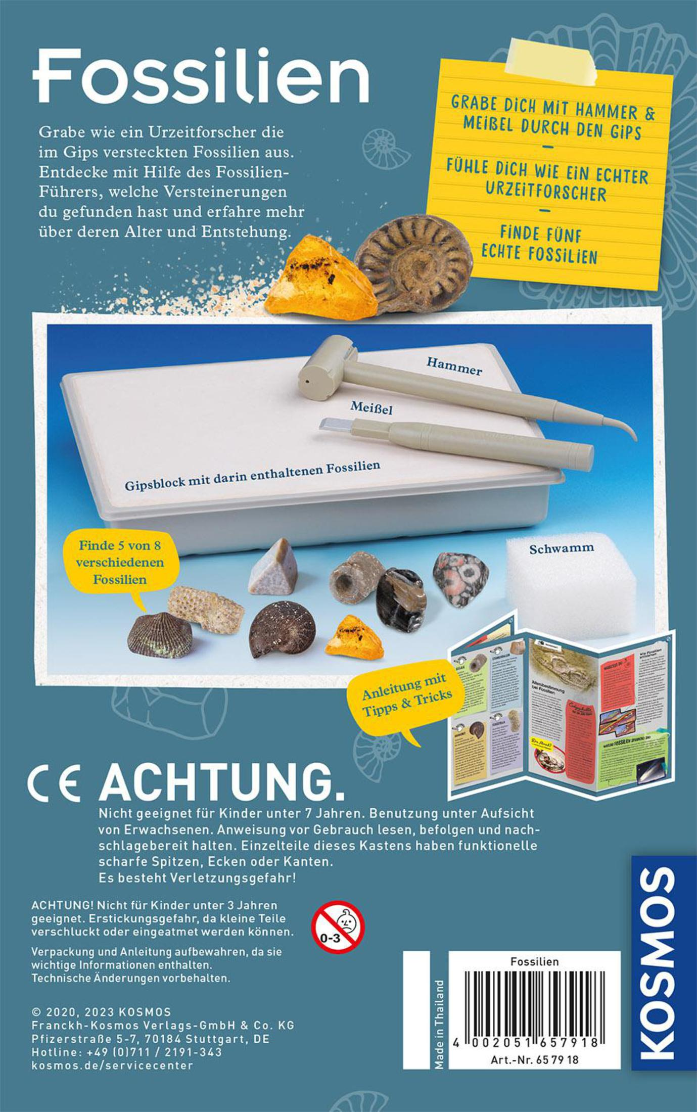 Box mit Werkzeugen und Fossilien. Enthält Hammer, Meißel und Fossilien. Text auf Deutsch. Weißer Hintergrund.