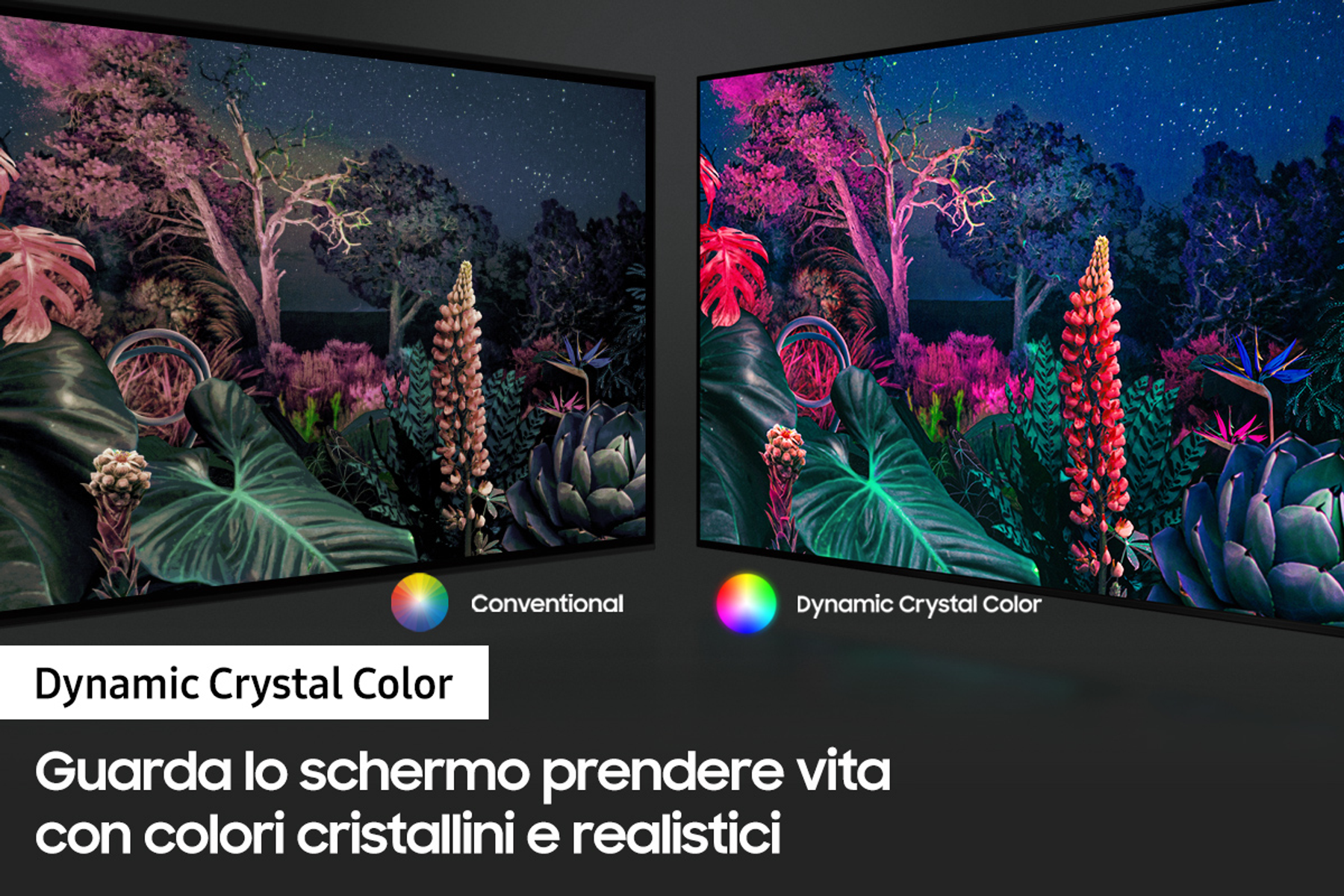 Due display mostrano immagini diverse. Uno è convenzionale, l'altro Dynamic Crystal Color, con testo sotto.