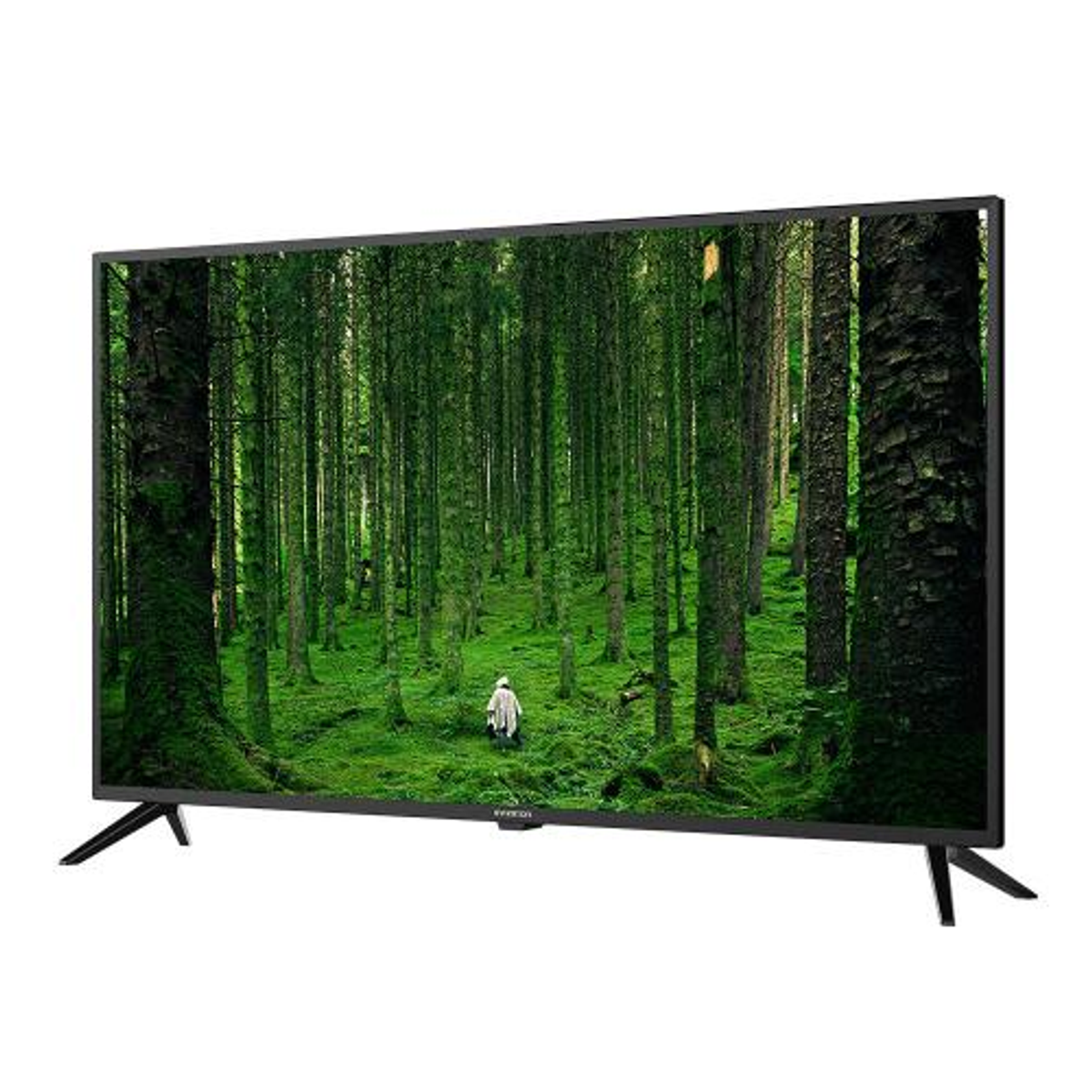 TV mostrando escena de bosque. Persona caminando a lo lejos. Pantalla con marco negro.