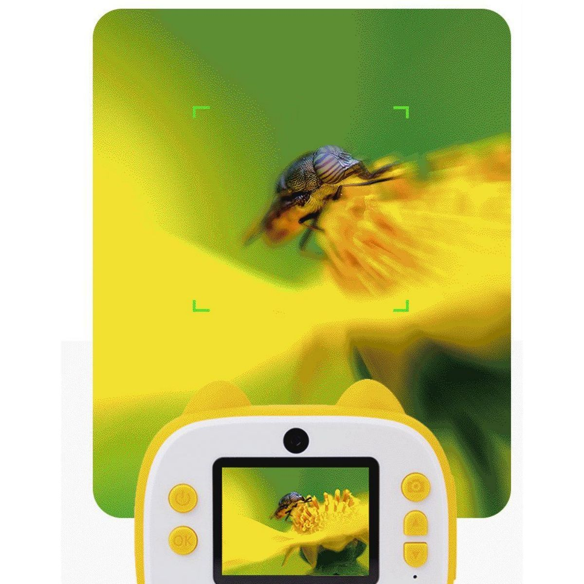 Gelbe Kinderkamera, die eine Biene auf einer gelben Blume einfängt, umgeben von grünem Feld.