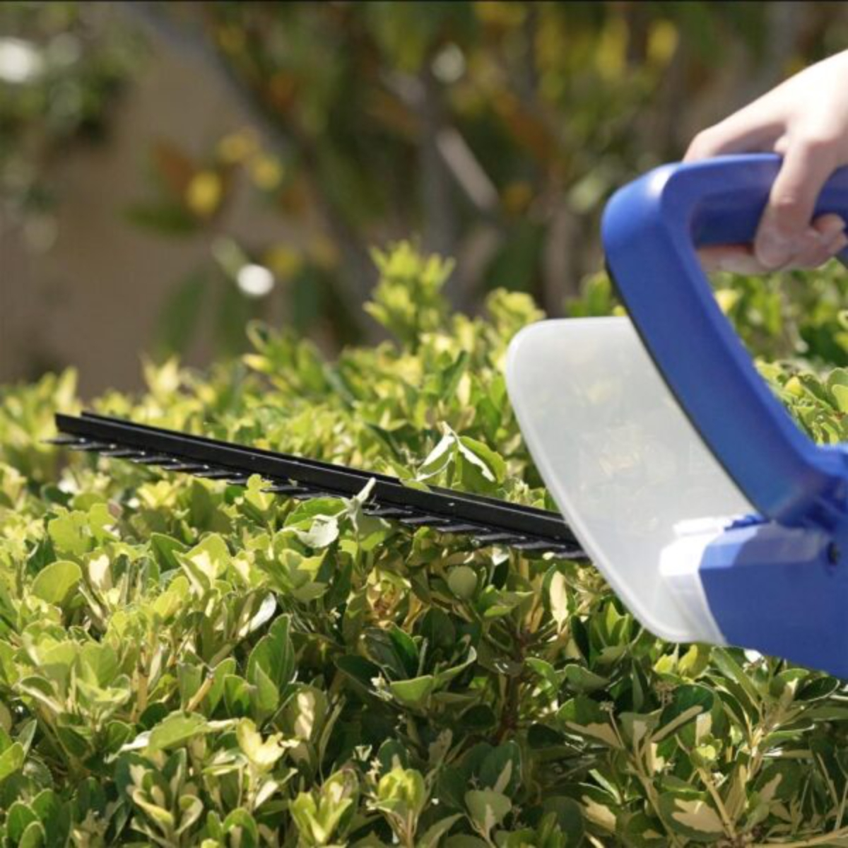 Una persona usando un cortasetos azul para cortar un seto verde.