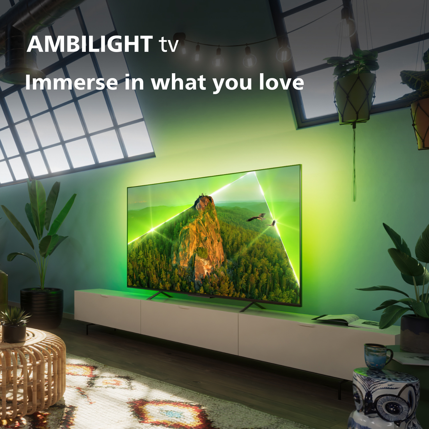 Wohnzimmer mit großem Fernseher, der eine bunte Szene zeigt, Pflanzen und warmes Licht.
