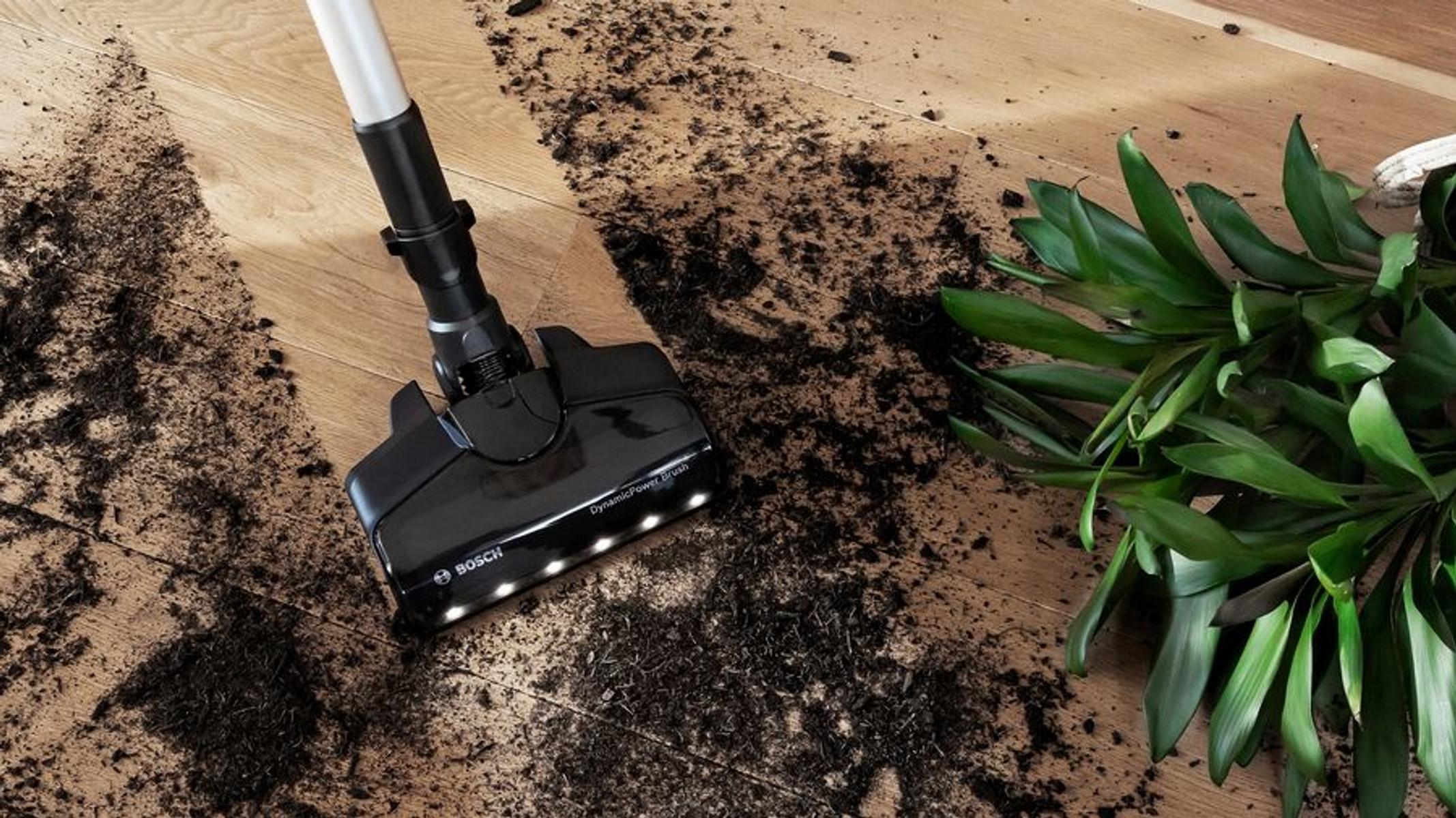 Schwarzer Staubsaugerkopf auf Holzboden, Schmutz darum, grüne Pflanze im Hintergrund.