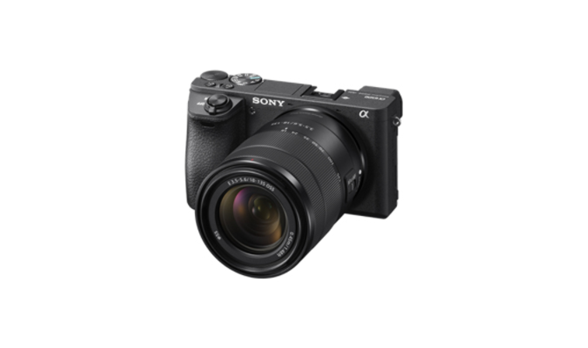Eine schwarze Kamera mit Objektiv, Sony-Logo und kleinem Bildschirm.