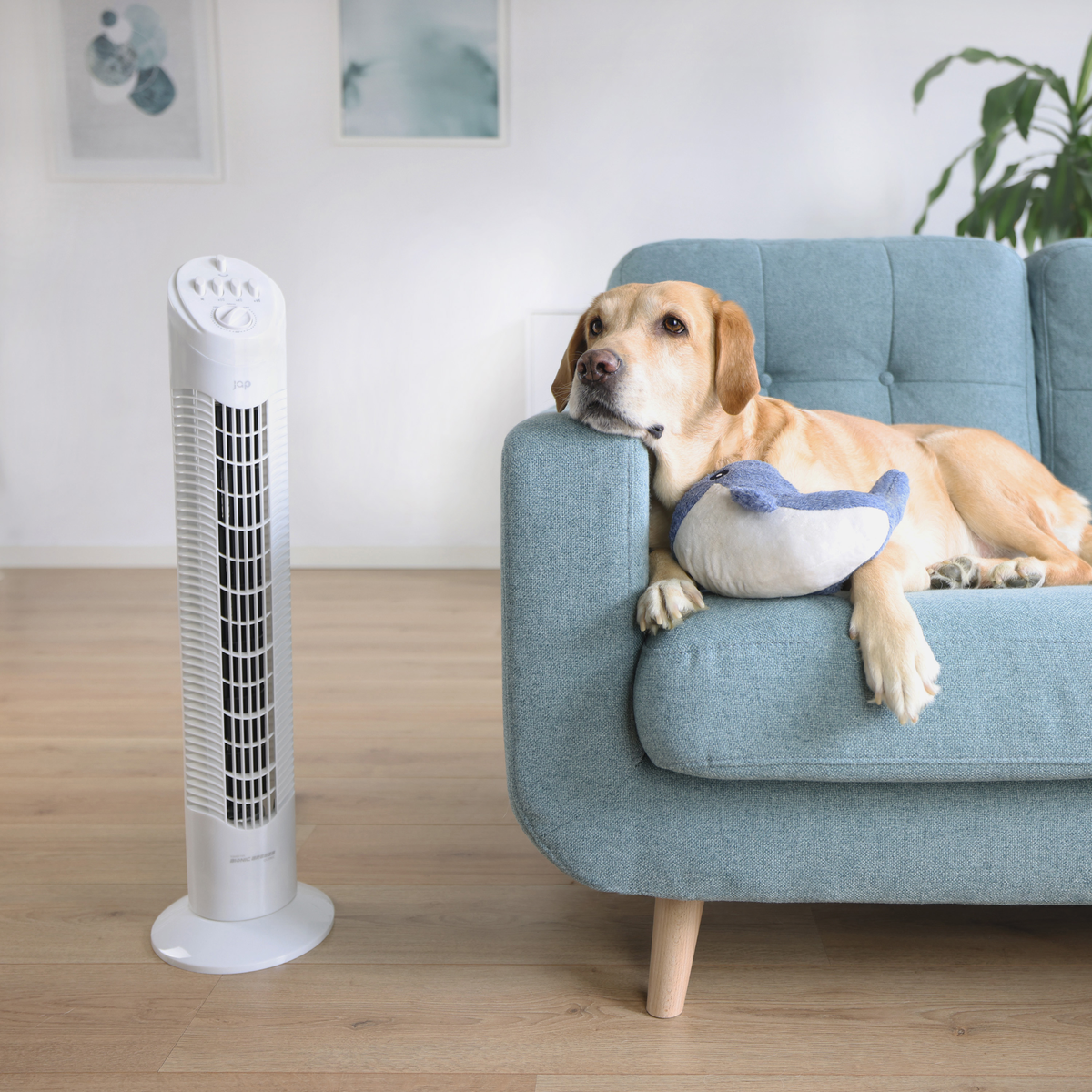 A white fan stands left. A dog with a toy lies on a blue sofa.