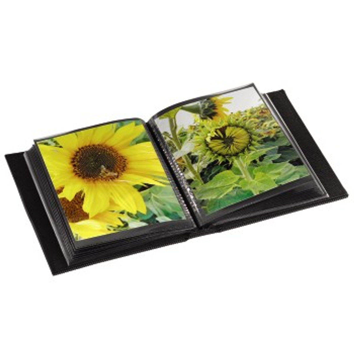 Otwarty album ze zdjęciami przedstawia zdjęcia słoneczników. Album jest czarny i leży na czarnej powierzchni.