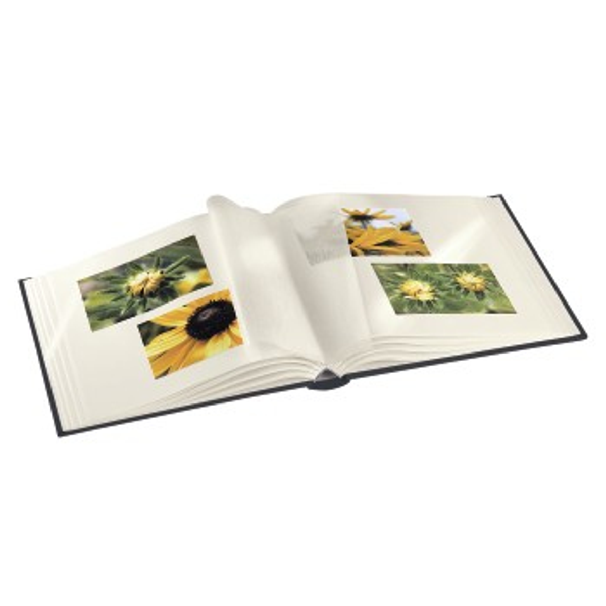 Otwarty album ze zdjęciami żółtych kwiatów na białym tle.