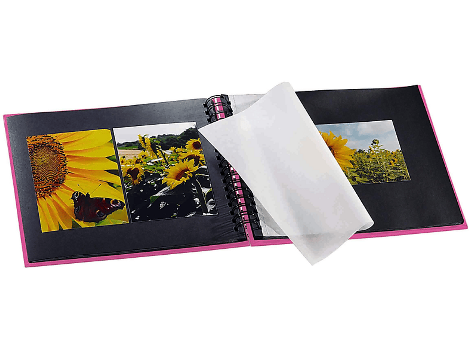 Album ze zdjęciami słoneczników i motyla.