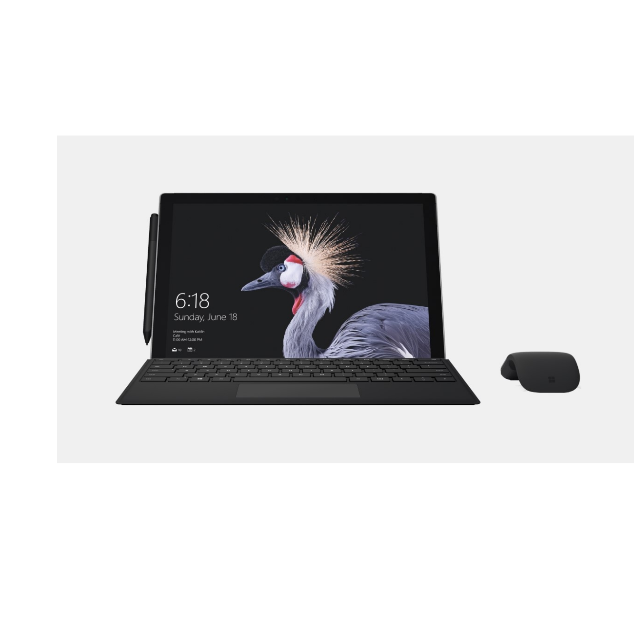 Schwarzer Laptop mit Tastatur und Maus. Der Bildschirm zeigt einen Vogel. Weißer Hintergrund.