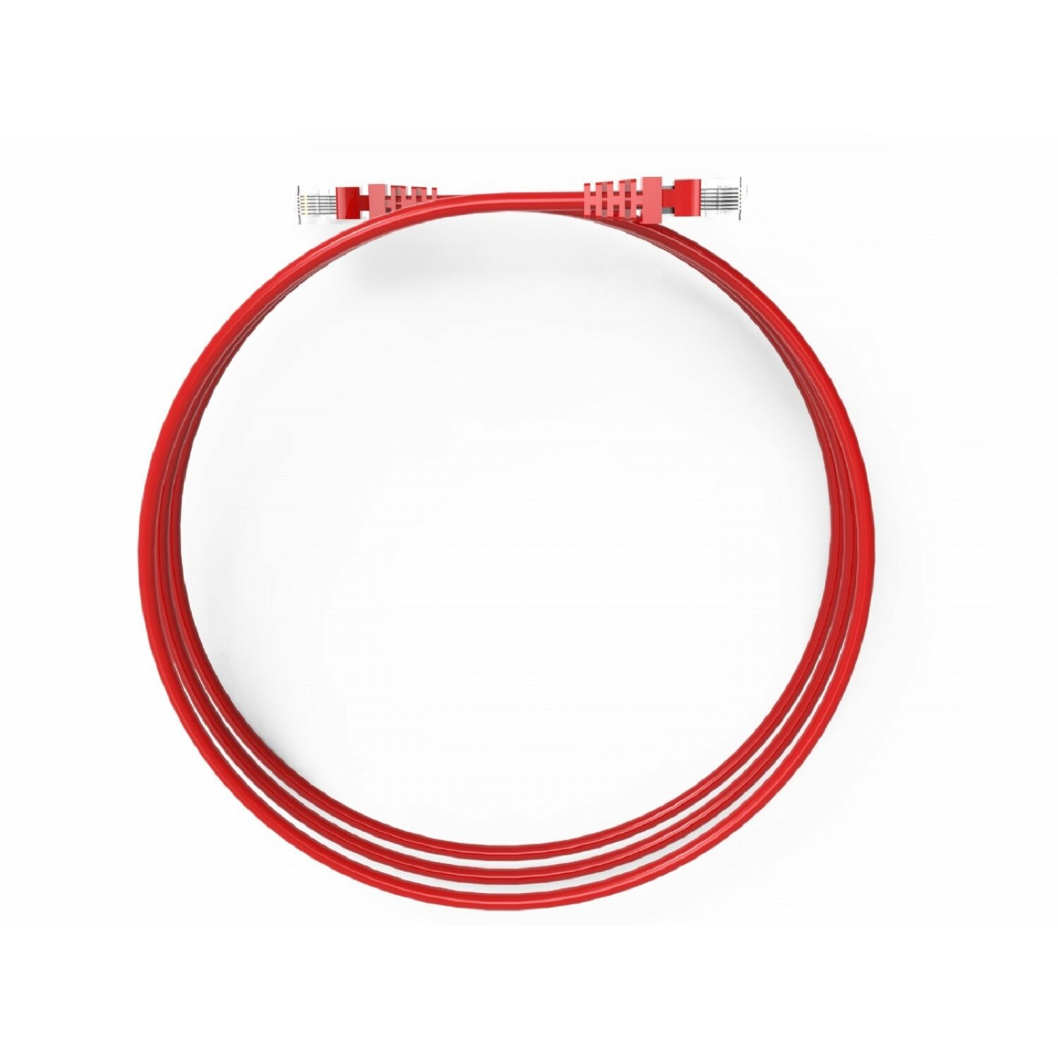 Ein rotes Ethernet-Kabel, kreisförmig gewickelt, mit Anschlüssen an beiden Enden, auf weißem Grund.