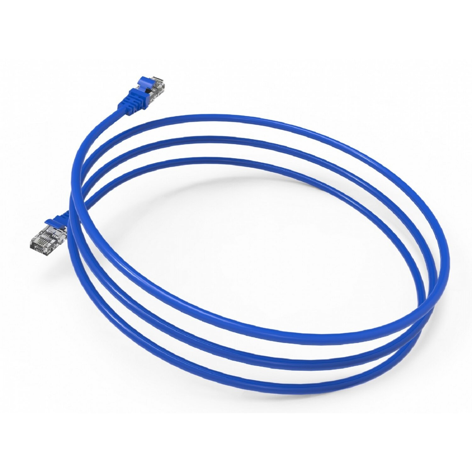 Blaues Ethernet-Kabel, auf weißem Hintergrund aufgerollt, mit Steckern an den Enden.