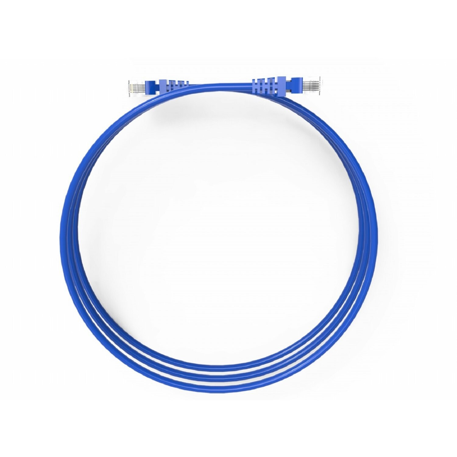 Ein blaues Ethernet-Kabel, das in einem Kreis aufgerollt ist, vor weißem Hintergrund.
