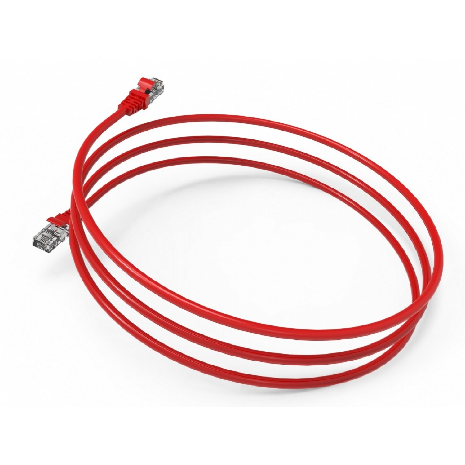 Rotes Ethernet-Kabel, kreisförmig angeordnet, auf einer weißen Oberfläche. Der Hintergrund ist weiß.
