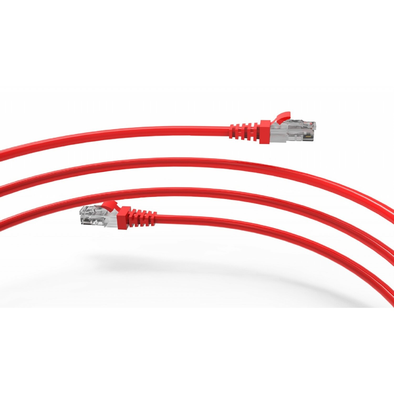Rote Ethernet-Kabel mit transparenten Steckern. Die Kabel sind auf weißem Hintergrund isoliert. Nahaufnahme.