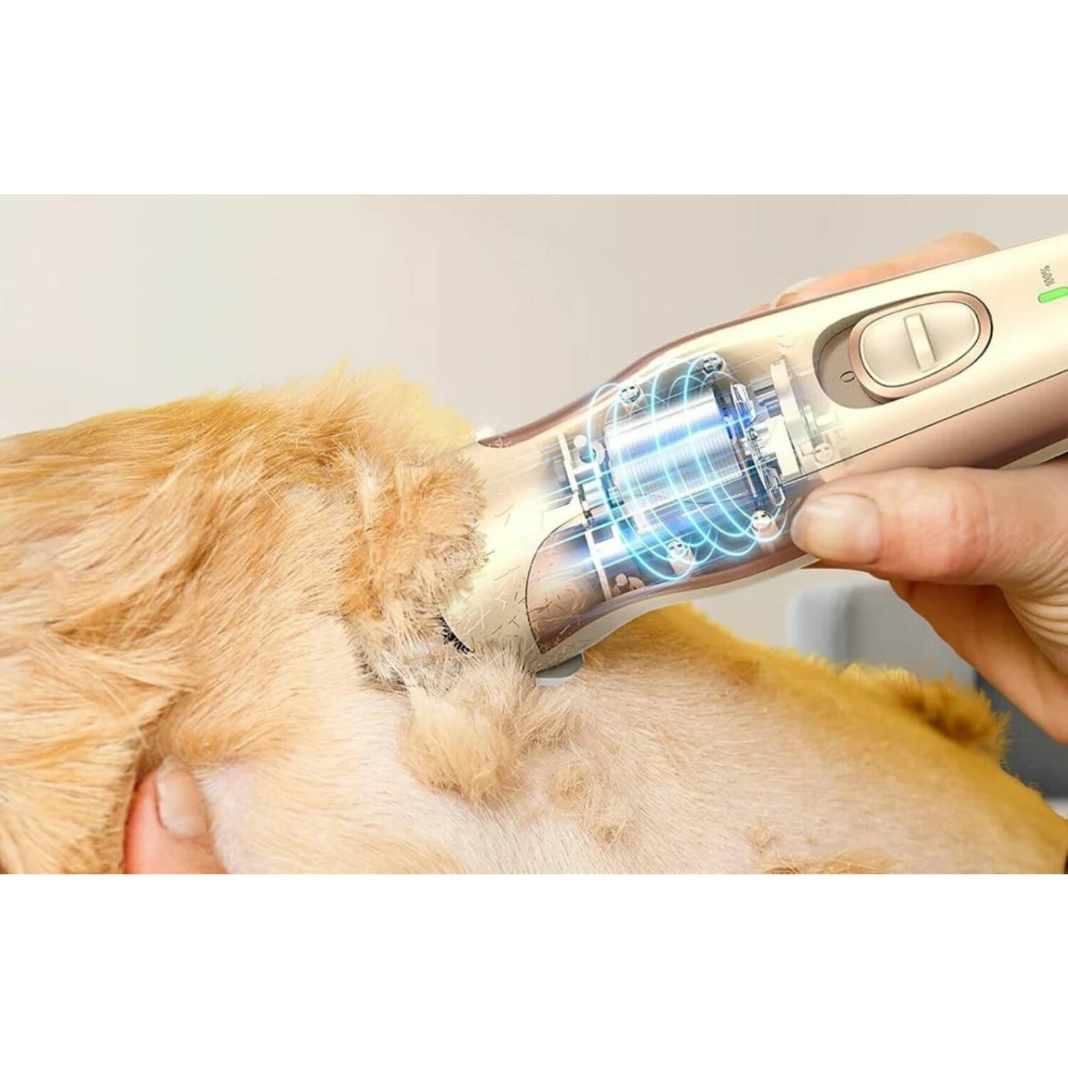 Ein Hund wird mit einem Clipper gepflegt. Innere Teile des Clippers sichtbar.