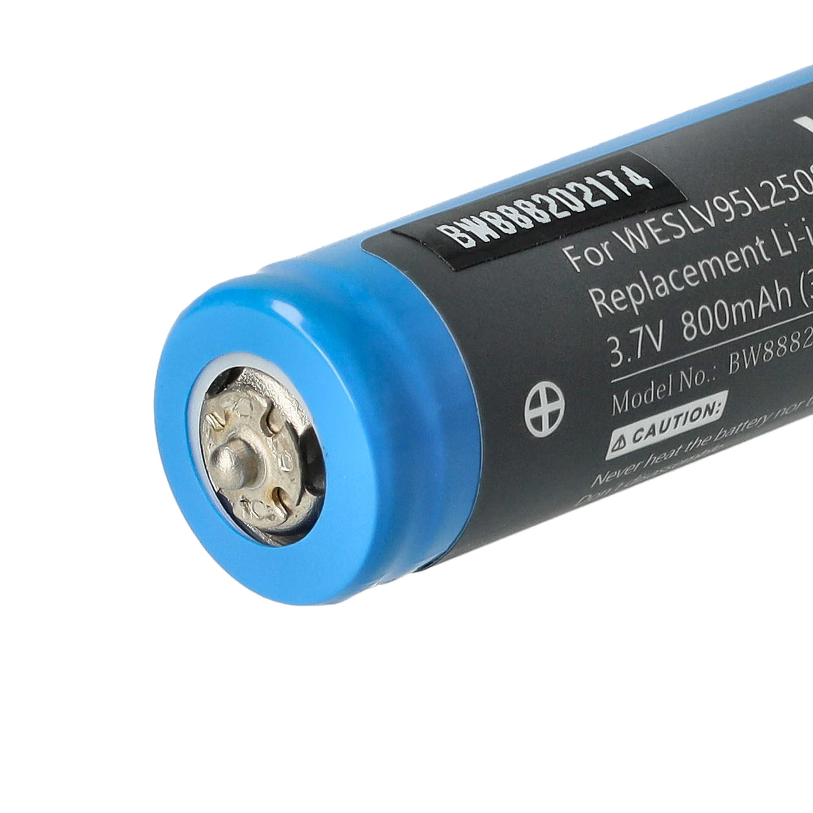 Blaue und schwarze Batterie mit Textetikett, Nahaufnahme.