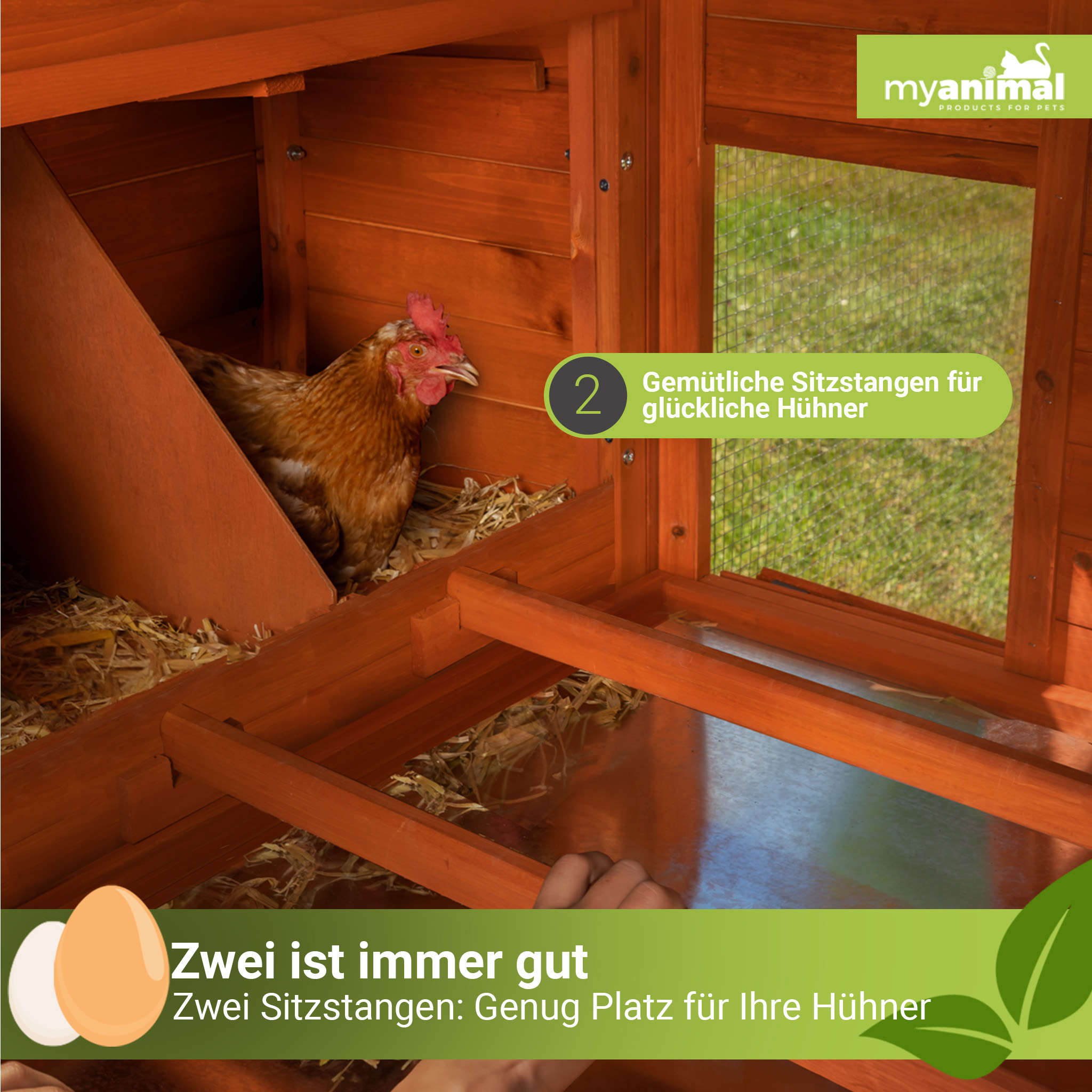 Hühnerstall-Interieur mit Huhn, Eiern und Text.