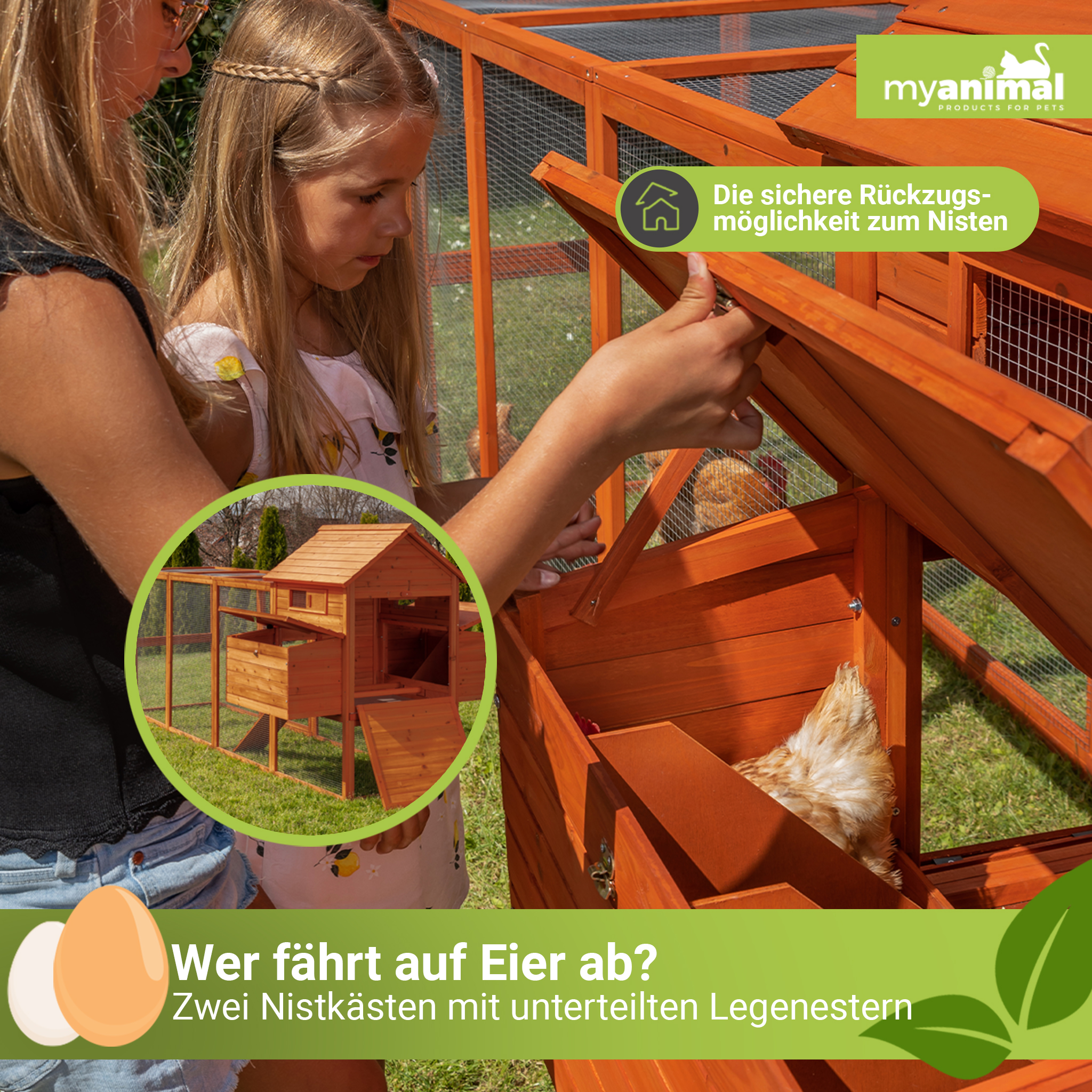 Zwei Personen öffnen einen hölzernen Hühnerstall. Ein Huhn ist drinnen. Eier sind im Vordergrund.