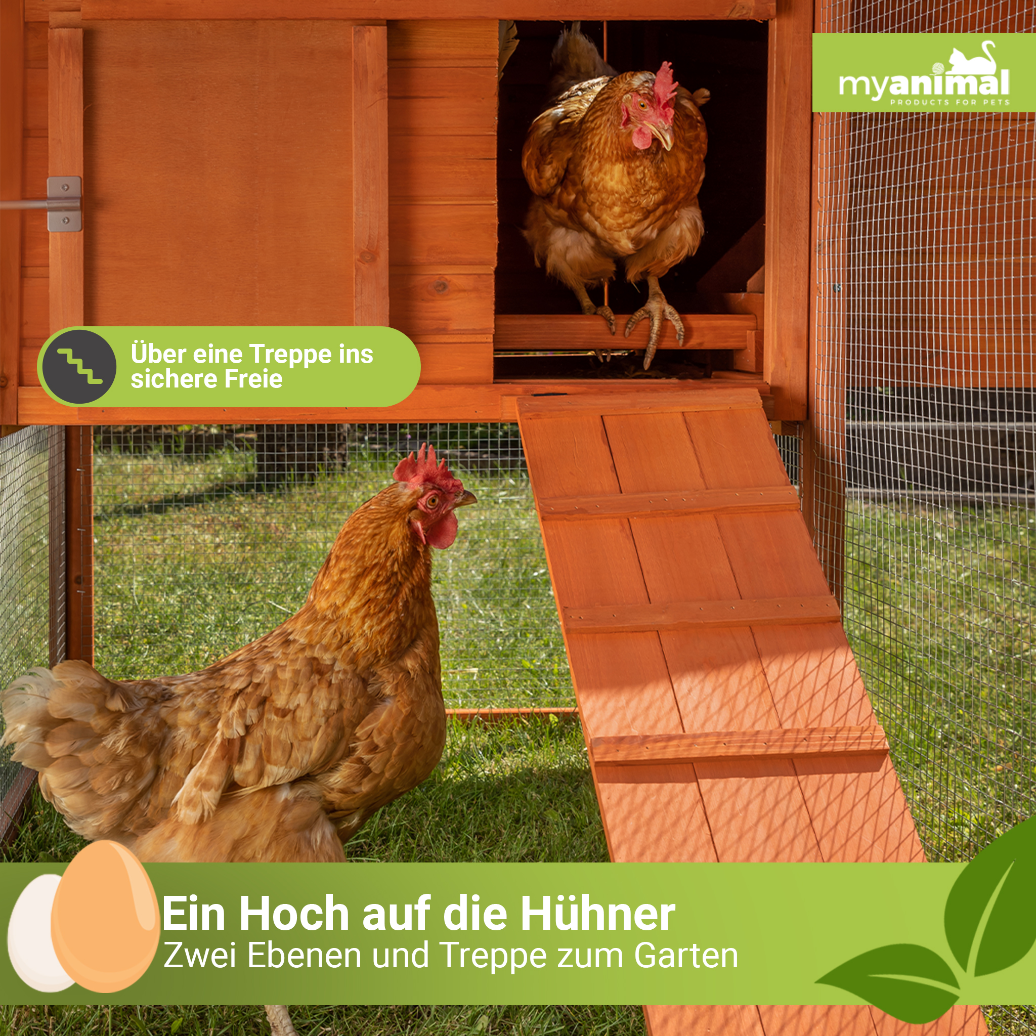 Hühnerstall mit zwei Hühnern, eines drinnen, eines draußen, mit Rampe und deutschem Text.