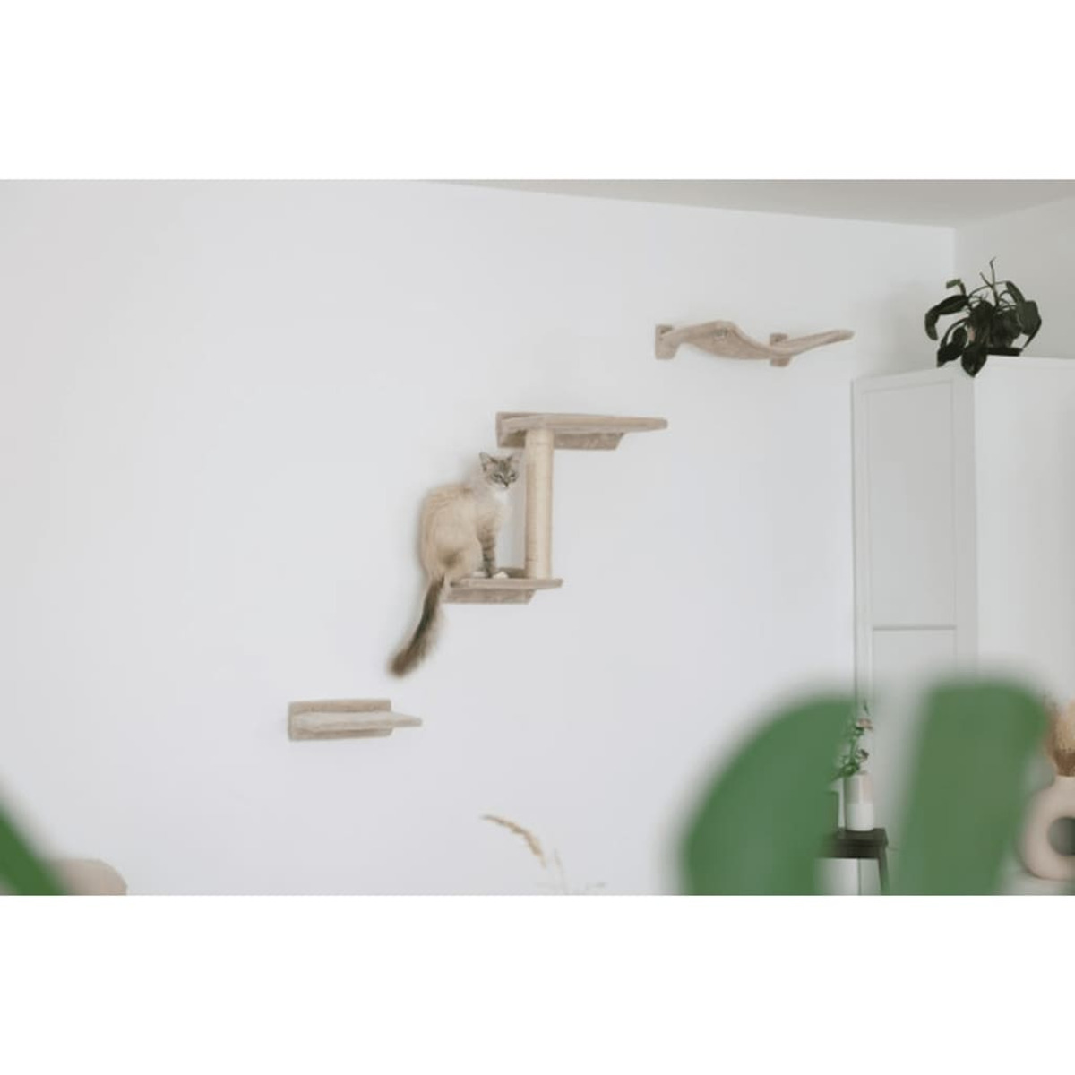 Eine Katze auf einem an der Wand befestigten Katzenturm mit mehreren Stufen.