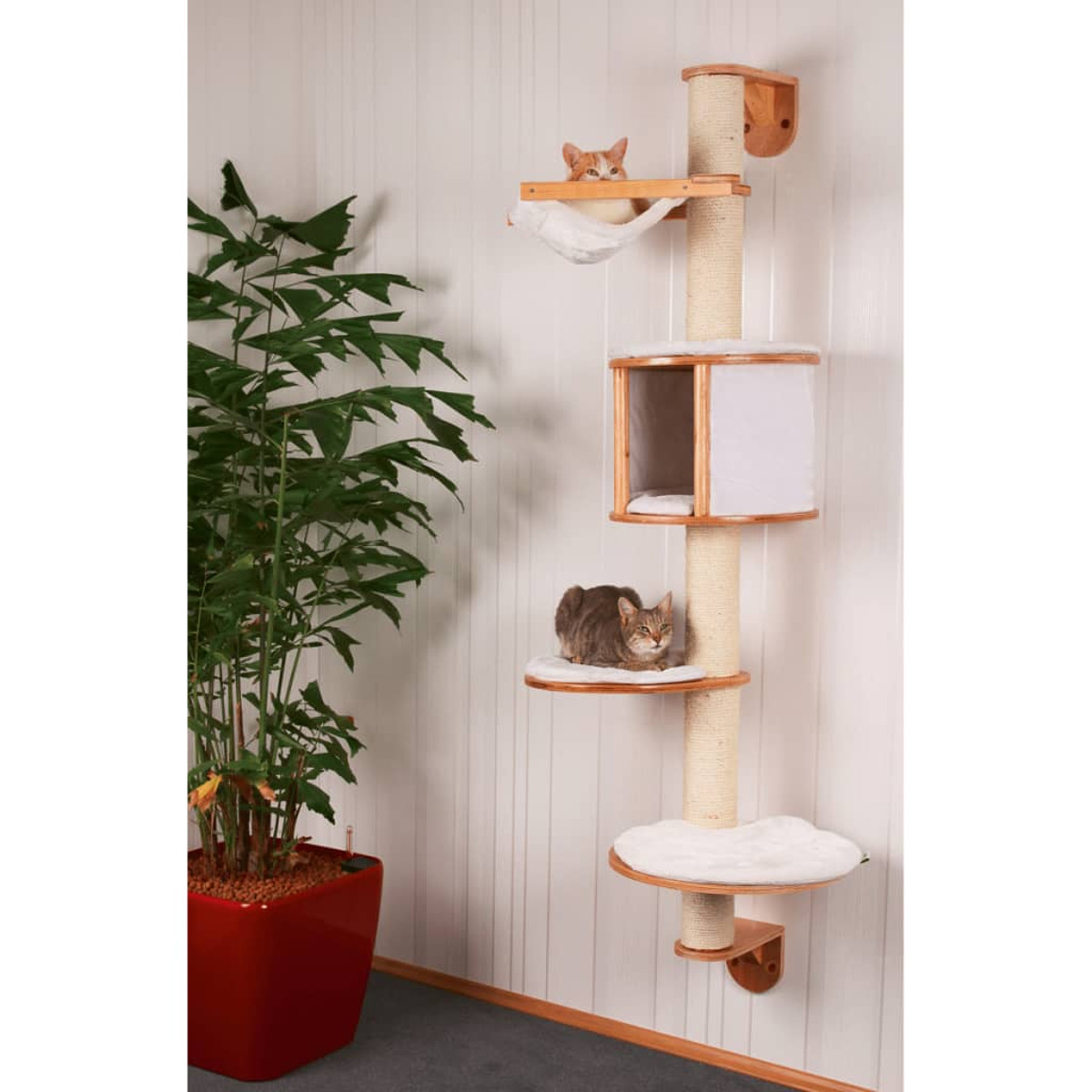 Ein Katzenbaum mit zwei Katzen, eine Pflanze in einem roten Topf und eine vertikal gestreifte Wand.