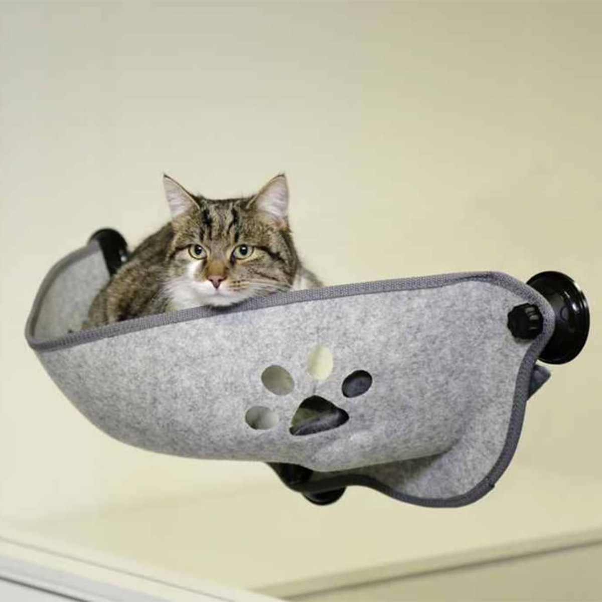 Eine Katze in einem grauen Katzenbett, das an einem Fenster befestigt ist. Das Bett hat Pfotenabdruck-Ausschnitte und Saugnäpfe.