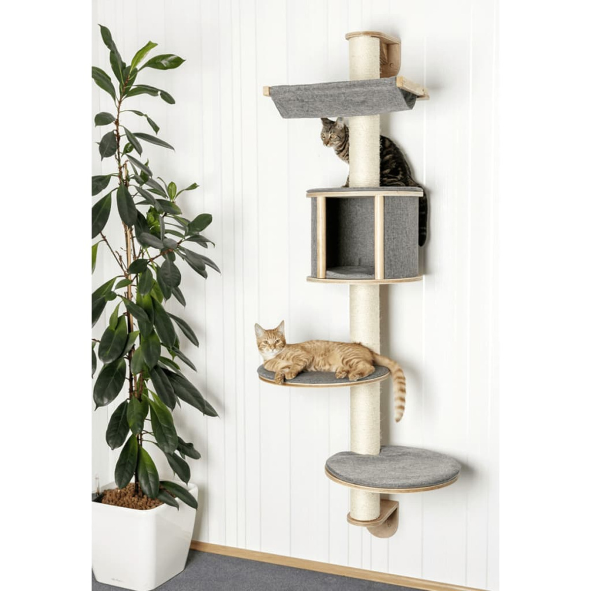 Ein Katzenbaum mit zwei Katzen darauf, und eine Pflanze ist links platziert. Es ist an einer weißen Wand.