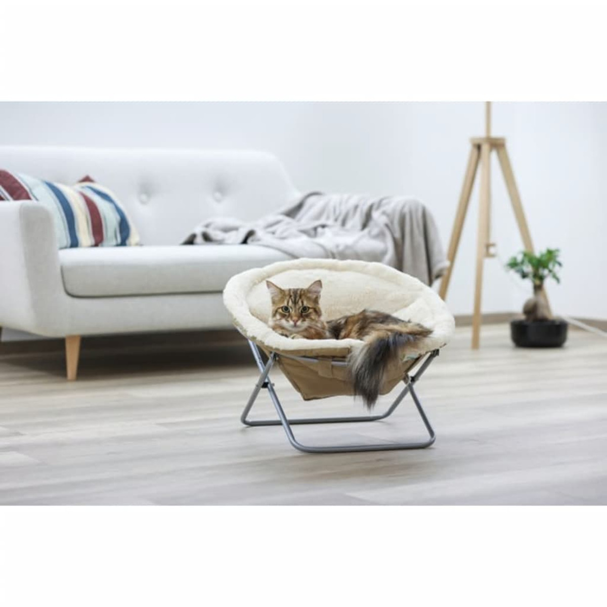 Eine Katze sitzt in einem runden, beigen Haustierbett auf einem Holzboden.