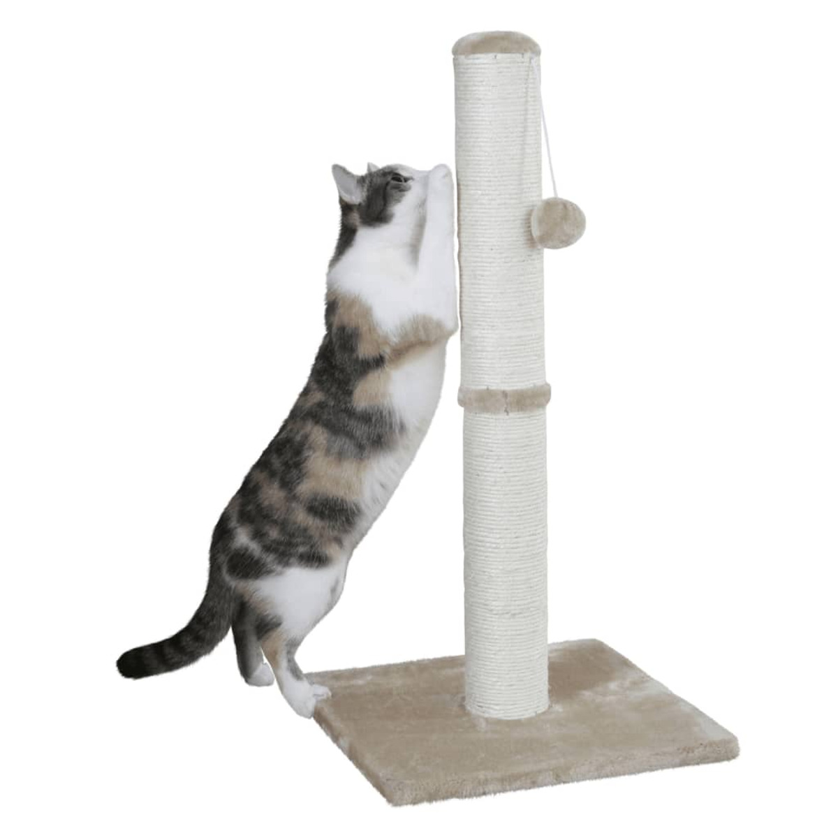 Gatto che graffia un tiragraffi alto. Bianco con base beige e una palla.