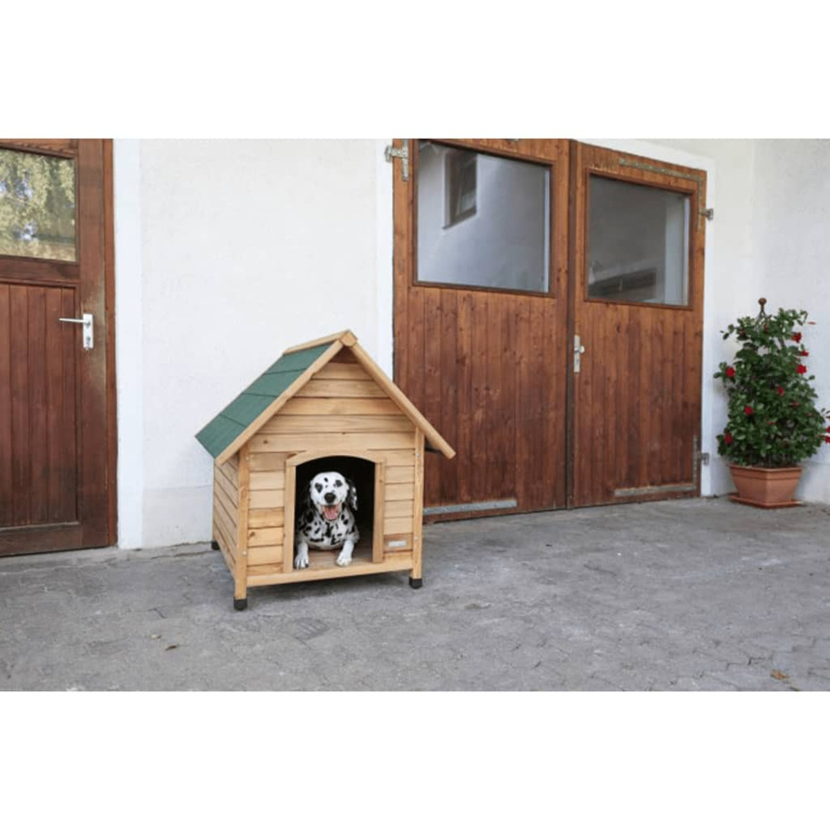 Un cane dalmata sbuca da una cuccia di legno. Sfondo: edificio bianco con porte marroni e una pianta.