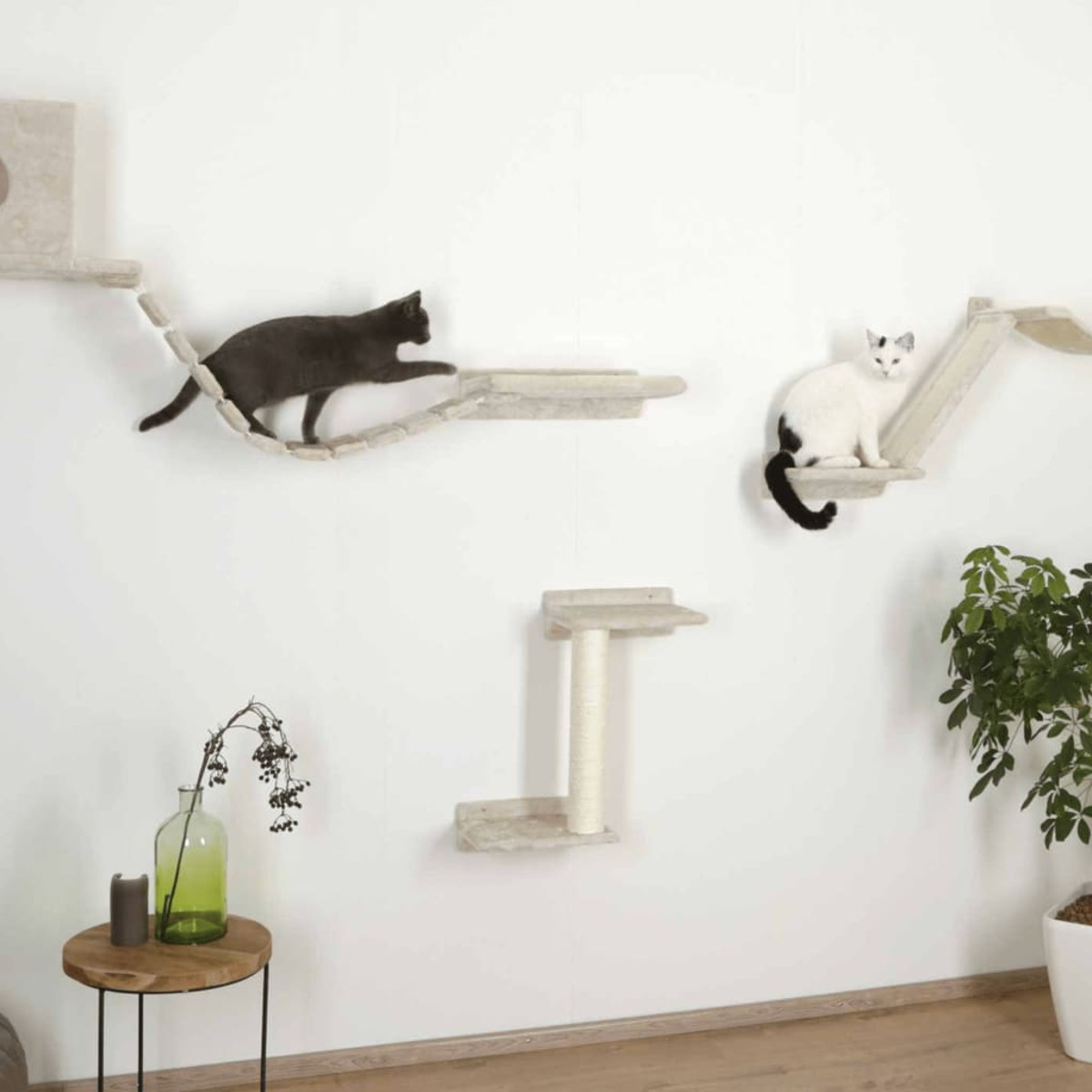Katzen auf einem Wand-Katzenklettersystem. Eine Katze läuft, eine andere sitzt.