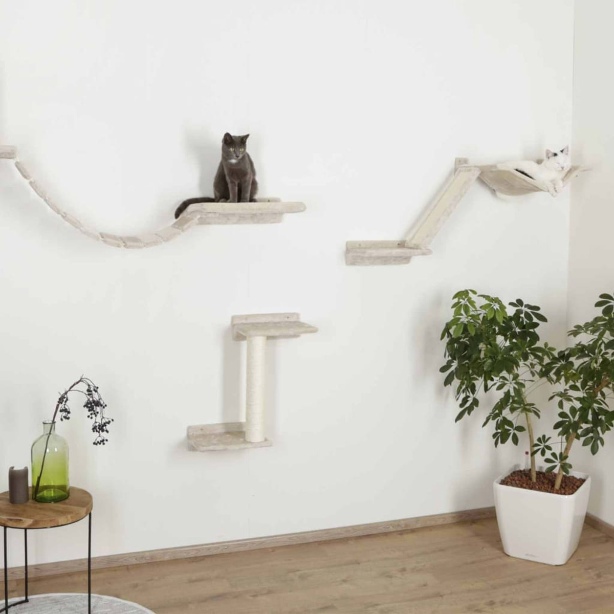 Katzenbaum an weißer Wand. Katzen auf Regalen. Grüne Pflanze im weißen Topf auf dem Boden.