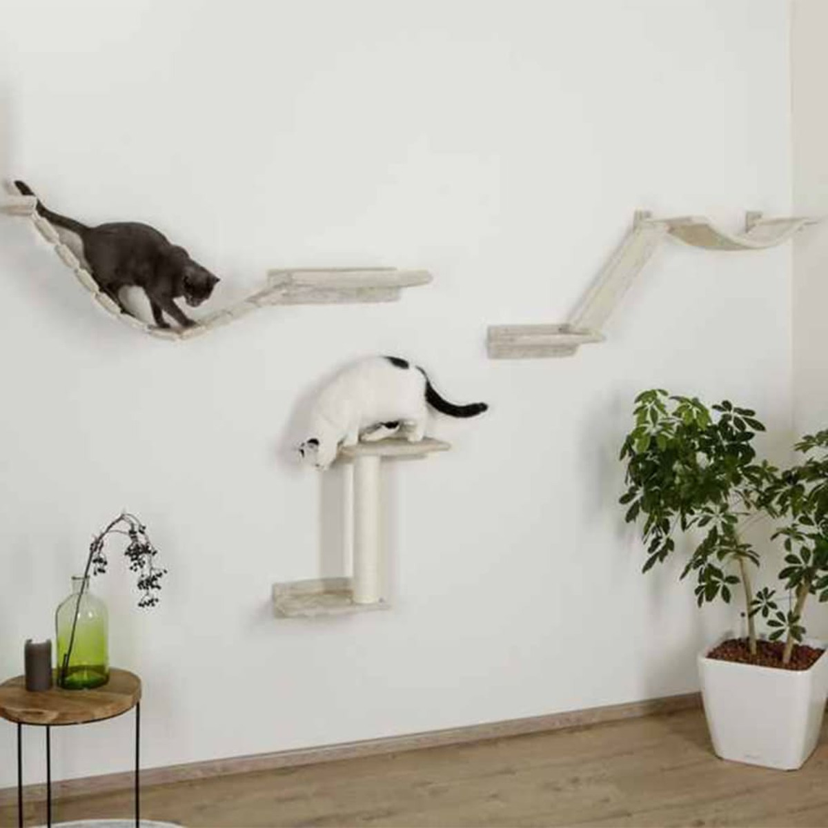 Katzen auf einem Wand-Katzenklettersystem. Eine Katze ist grau, die andere schwarz-weiß.
