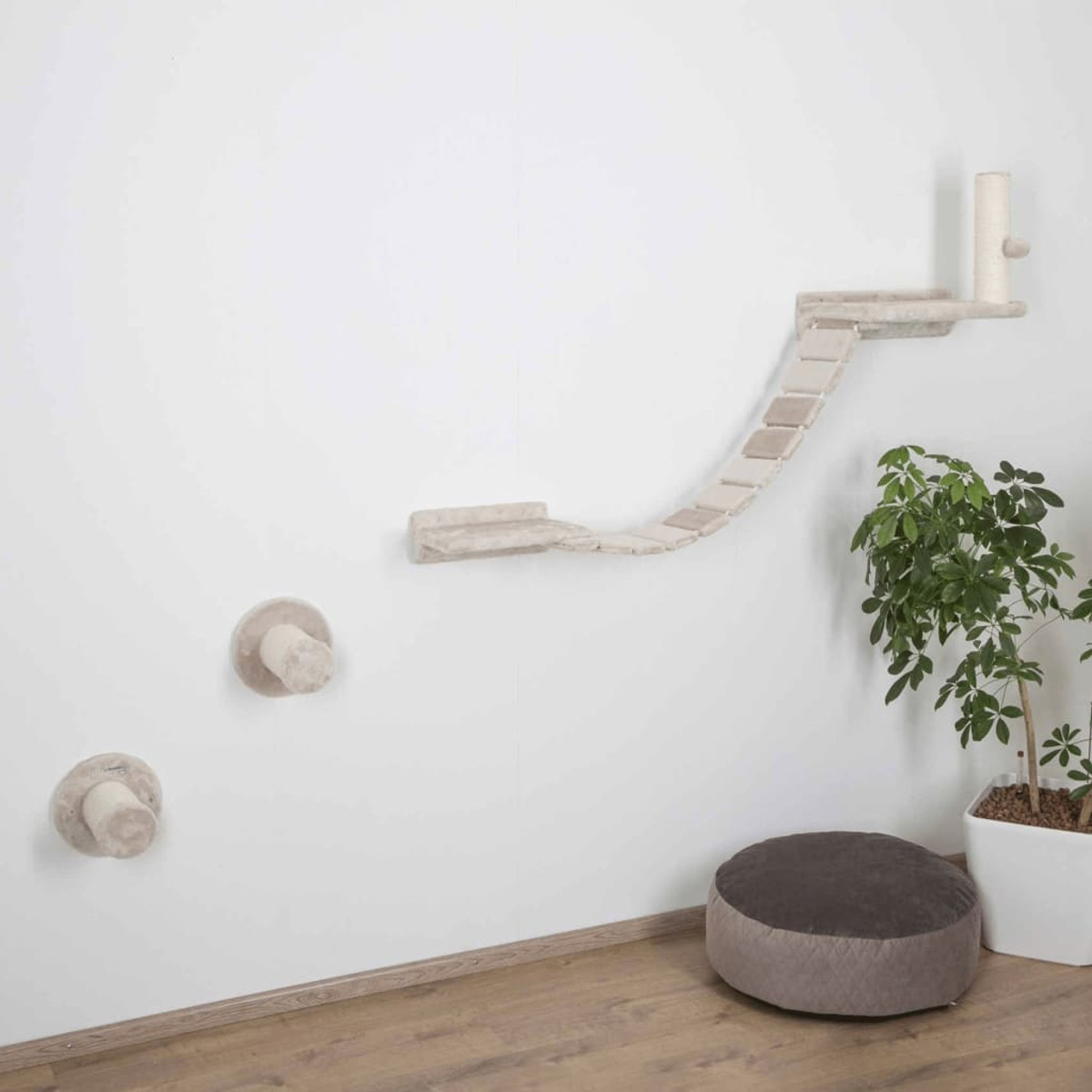 Sistema di arrampicata per gatti a parete. Gradini beige, piattaforme e tiragraffi su muro bianco.