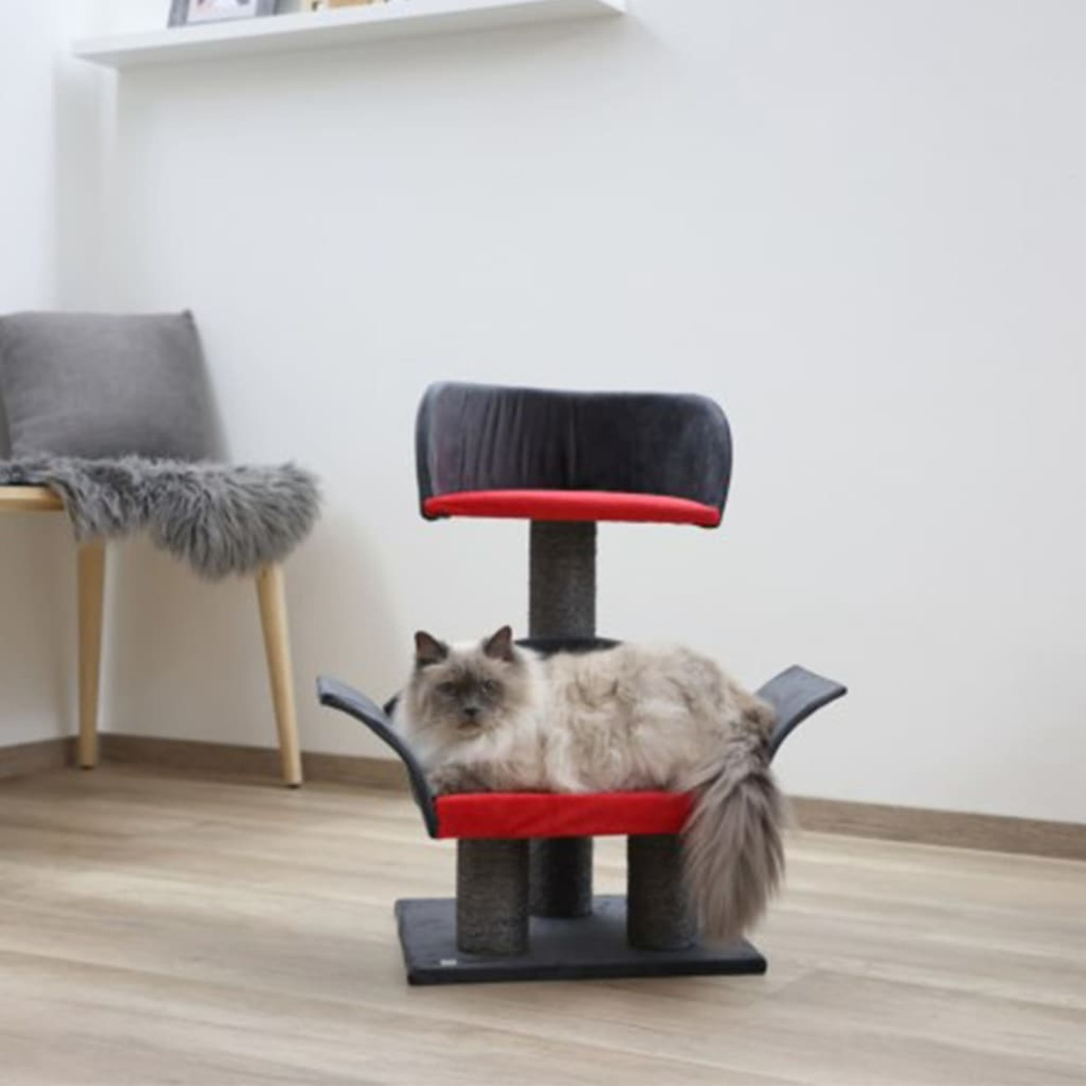 Eine Katze in einem Katzenbaum mit roten Akzenten und einem grauen Kissen. Helle Böden und Wände.