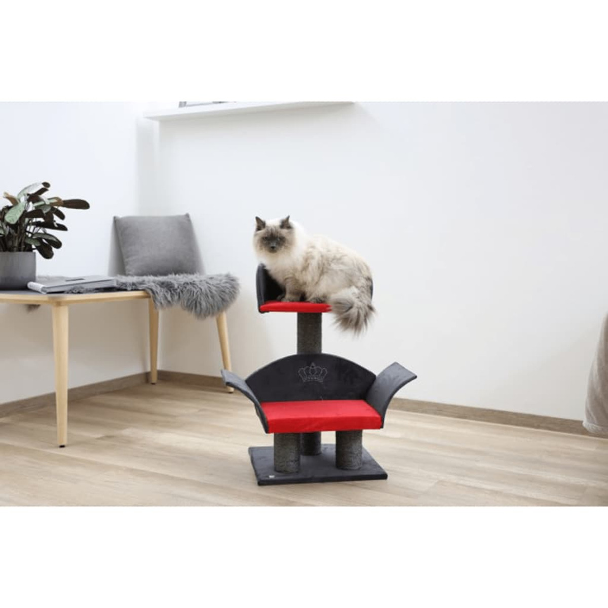 Eine Katze sitzt auf einem Kratzbaum. Es hat rote und schwarze Kissen.