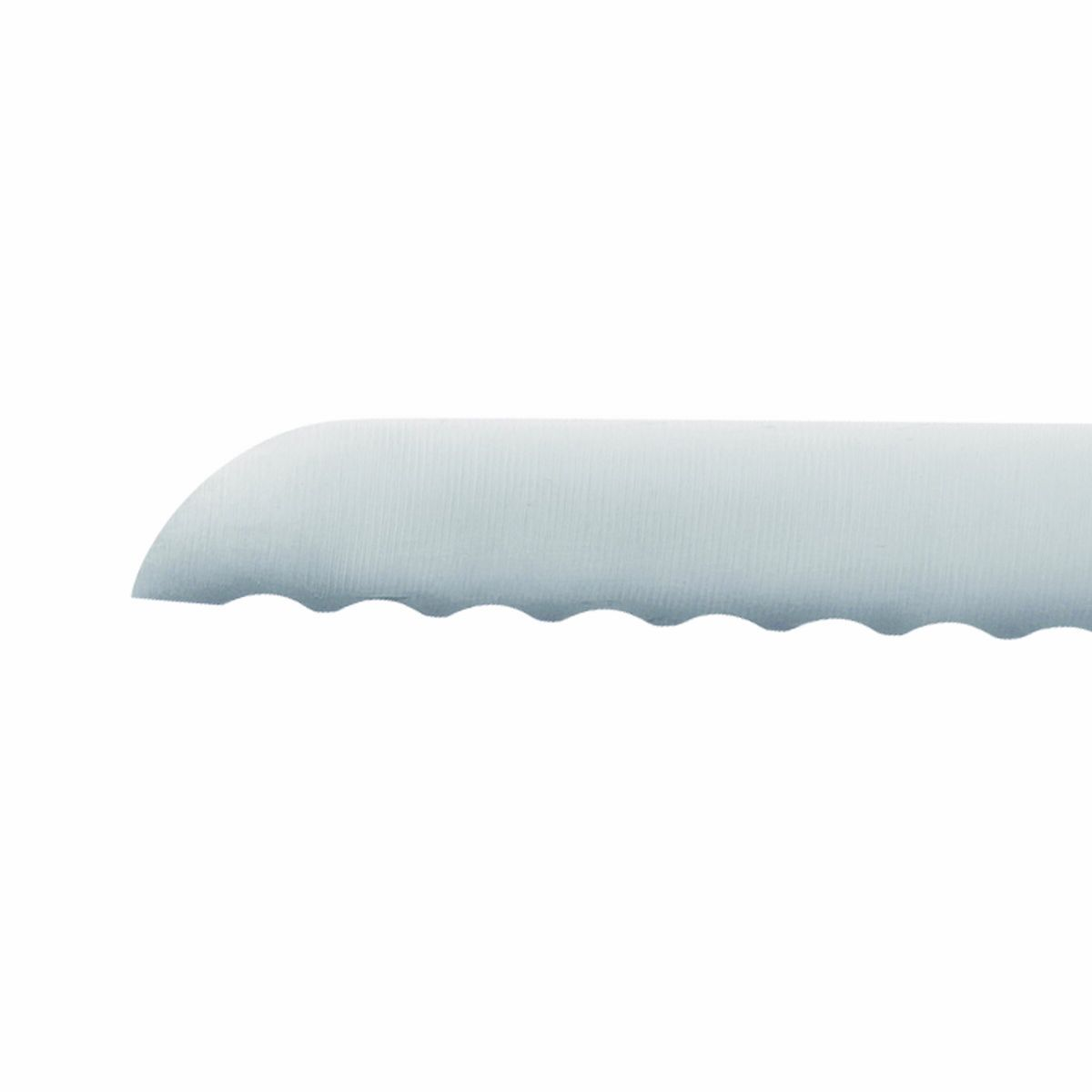 Primer plano del borde dentado de una hoja de cuchillo, con una punta curvada, sobre un fondo blanco.