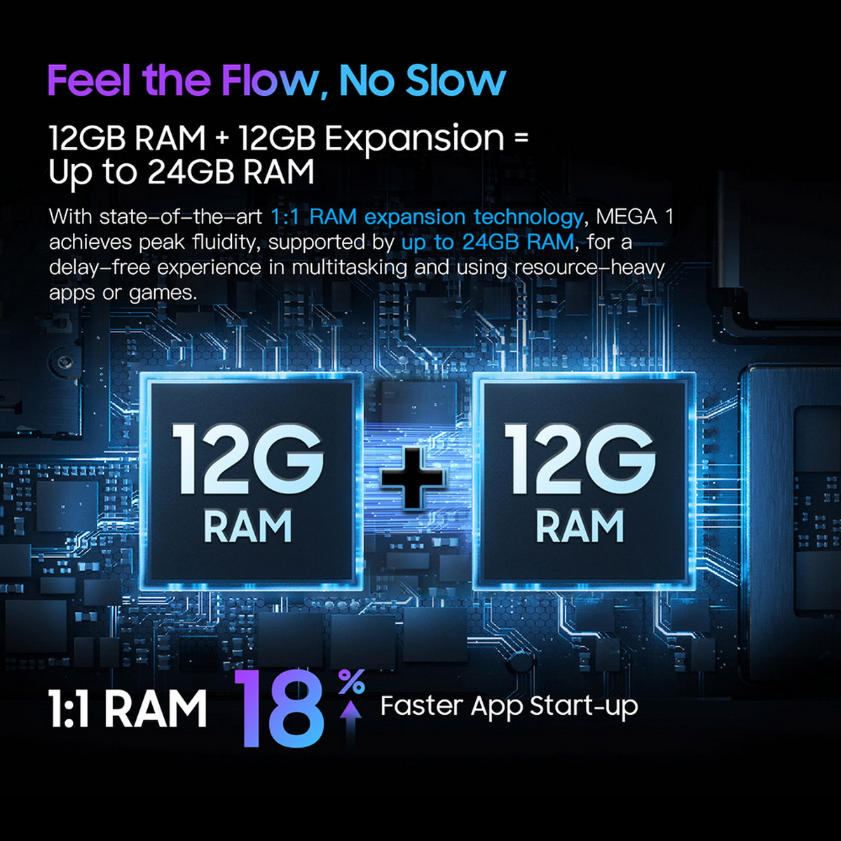 Grafico che mostra l'espansione della RAM, con due blocchi da 12G RAM, per un totale di 24GB.
